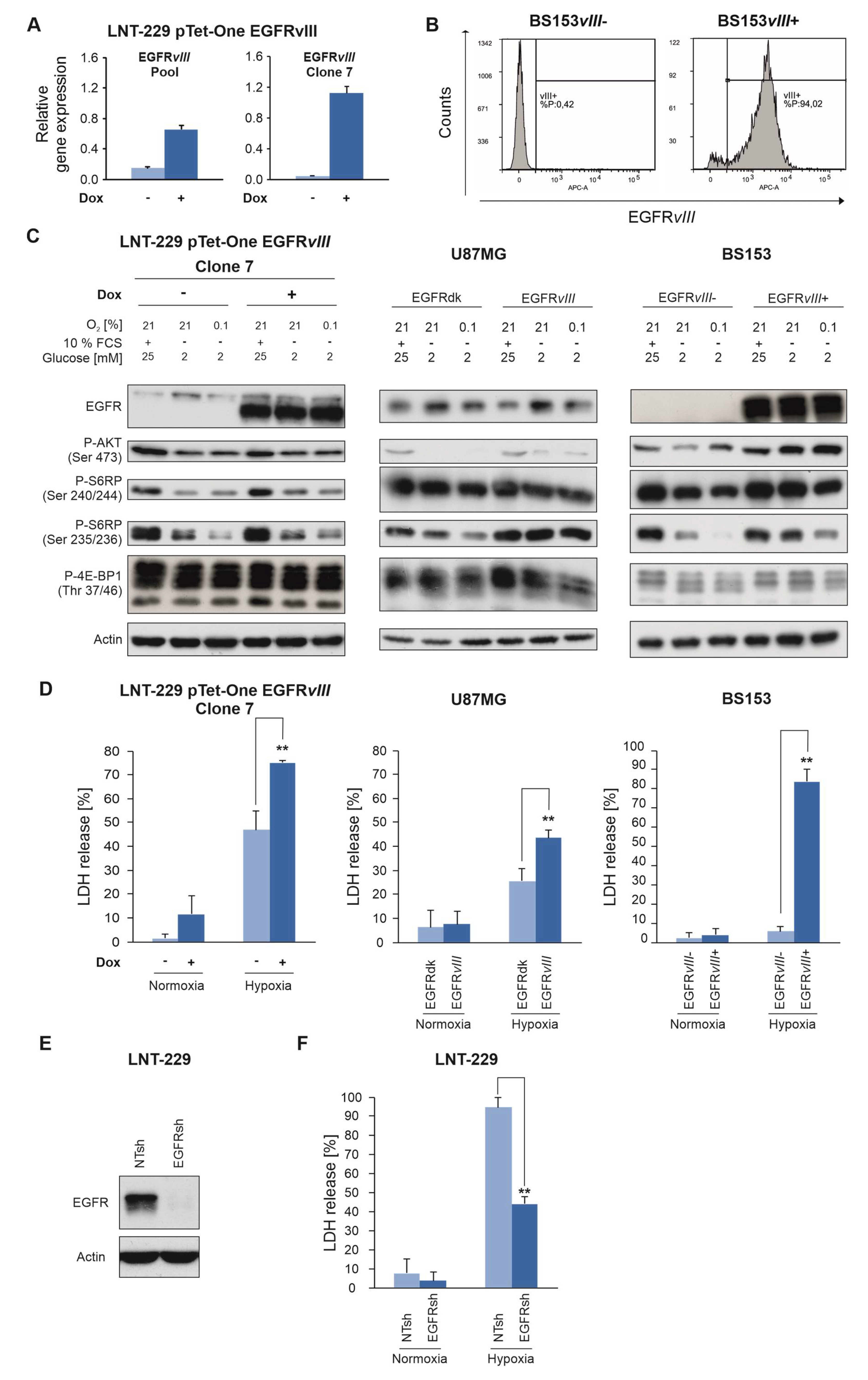Cancers 12 02144 g004 Cancers 12 02144 g004