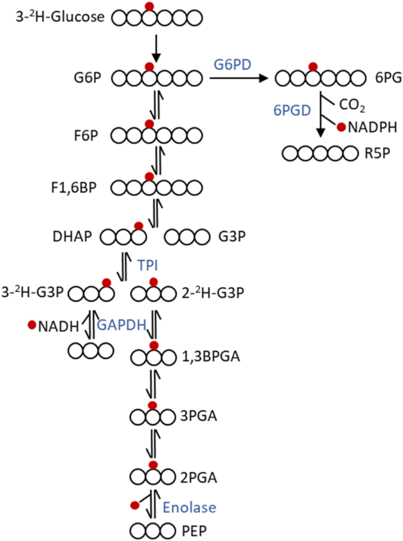 Cancers 12 02147 g003 Cancers 12 02147 g003