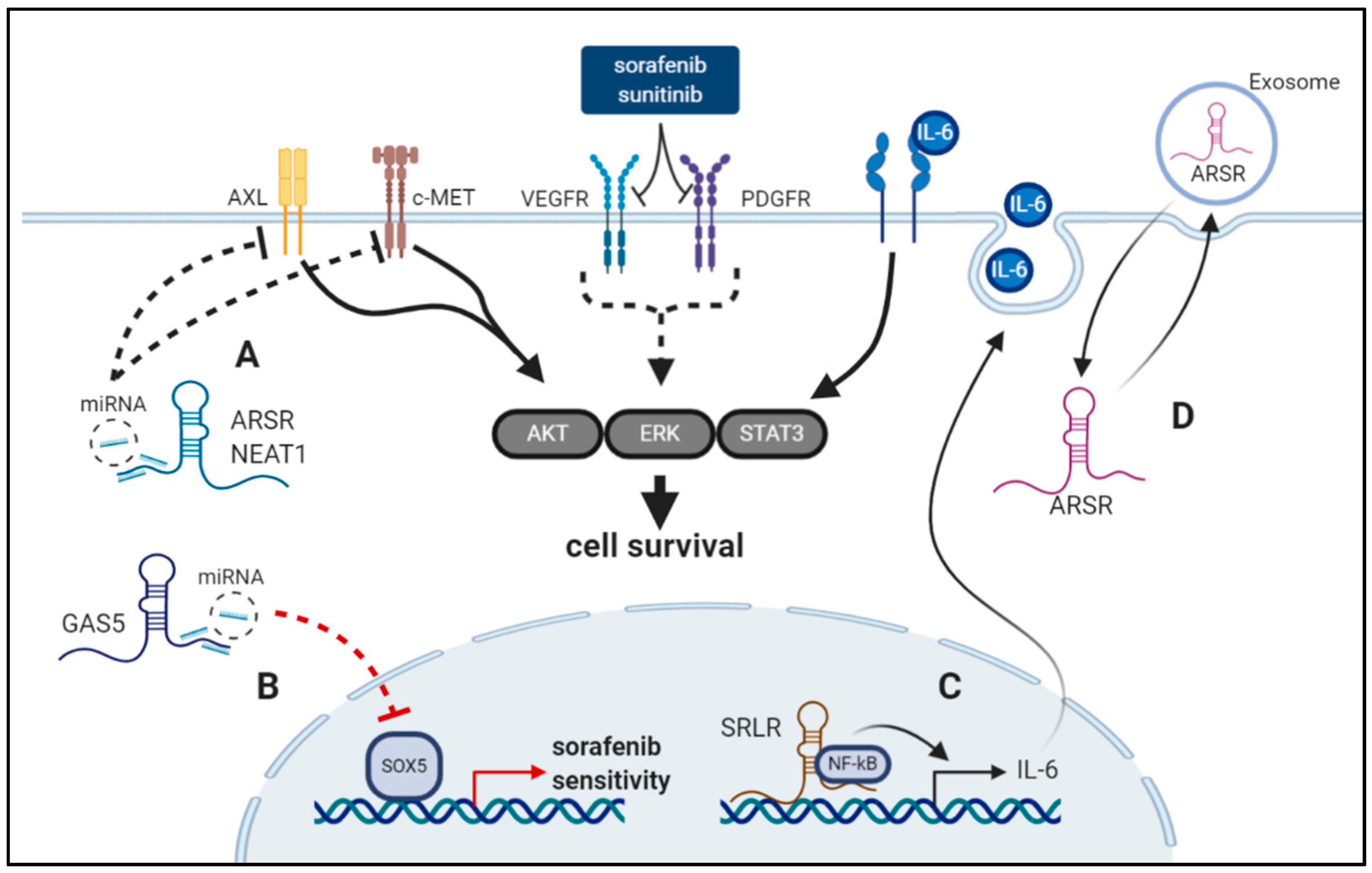 Cancers 12 02148 g001