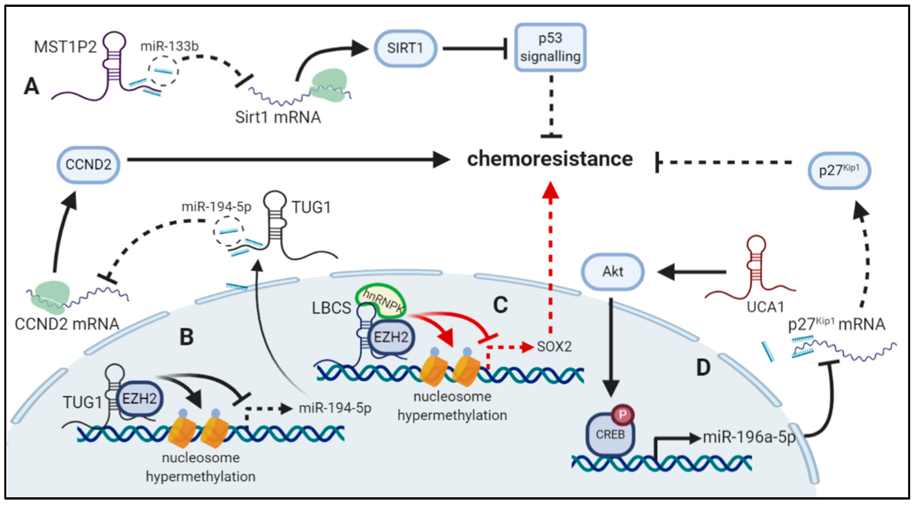 Cancers 12 02148 g002