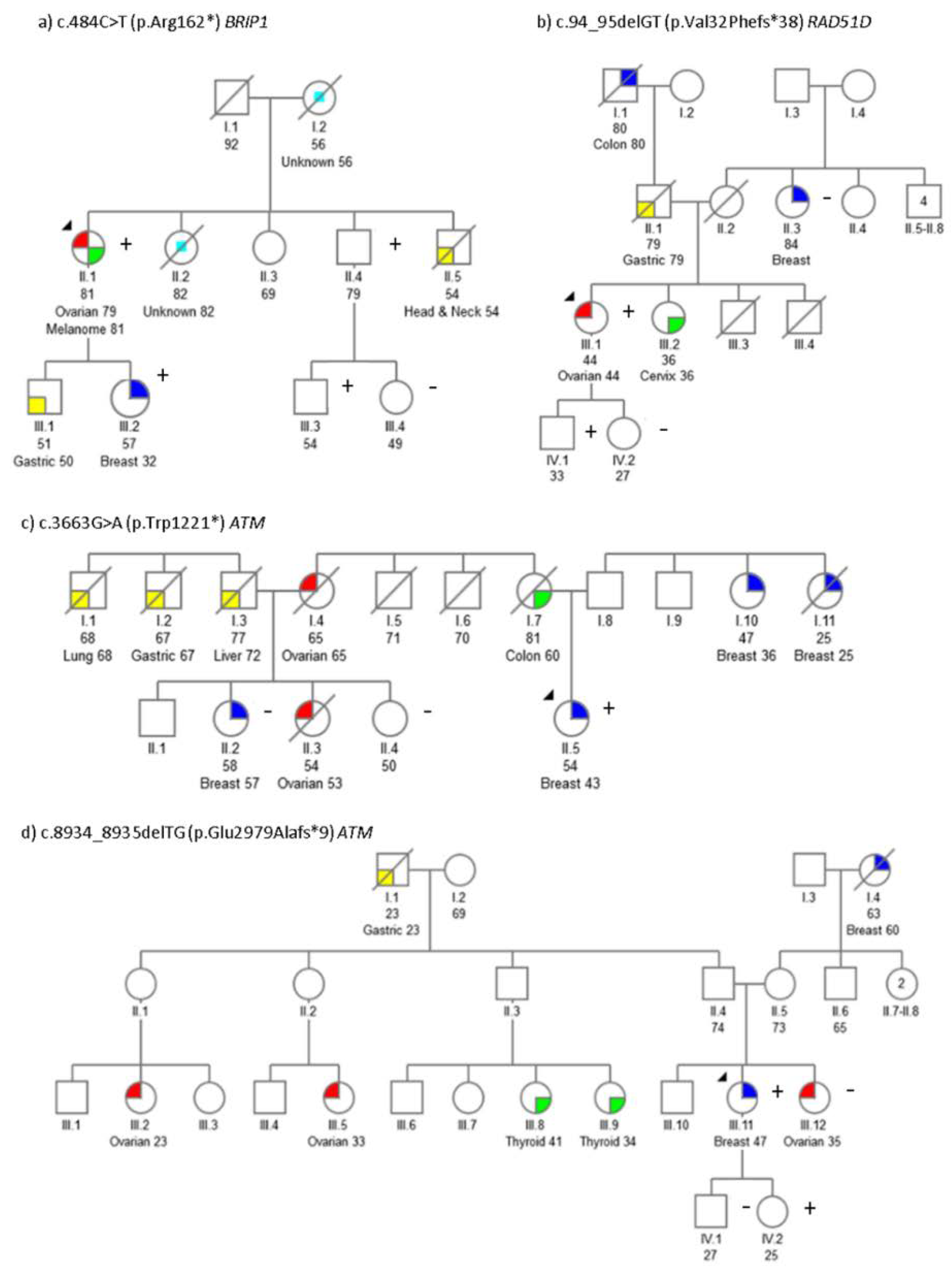 Cancers 12 02151 g001