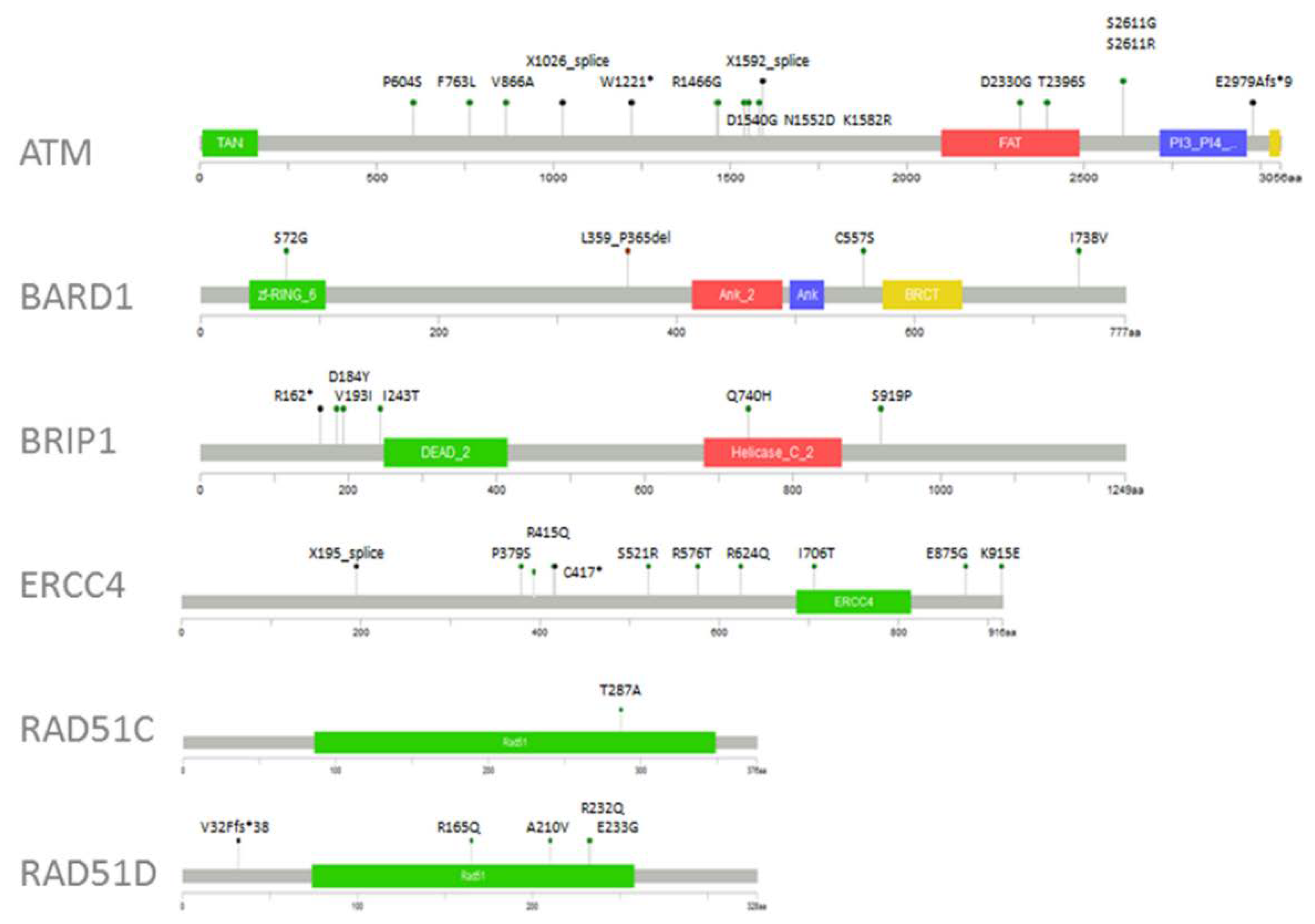 Cancers 12 02151 g002