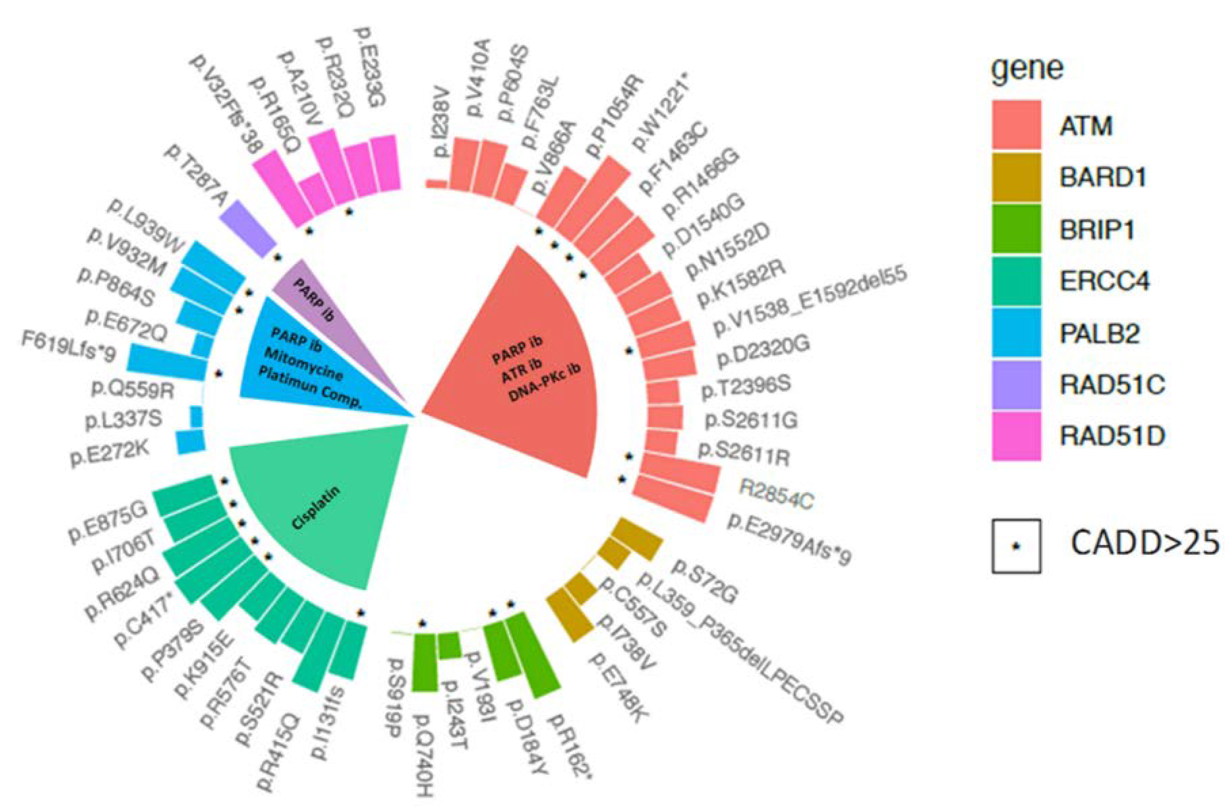 Cancers 12 02151 g003