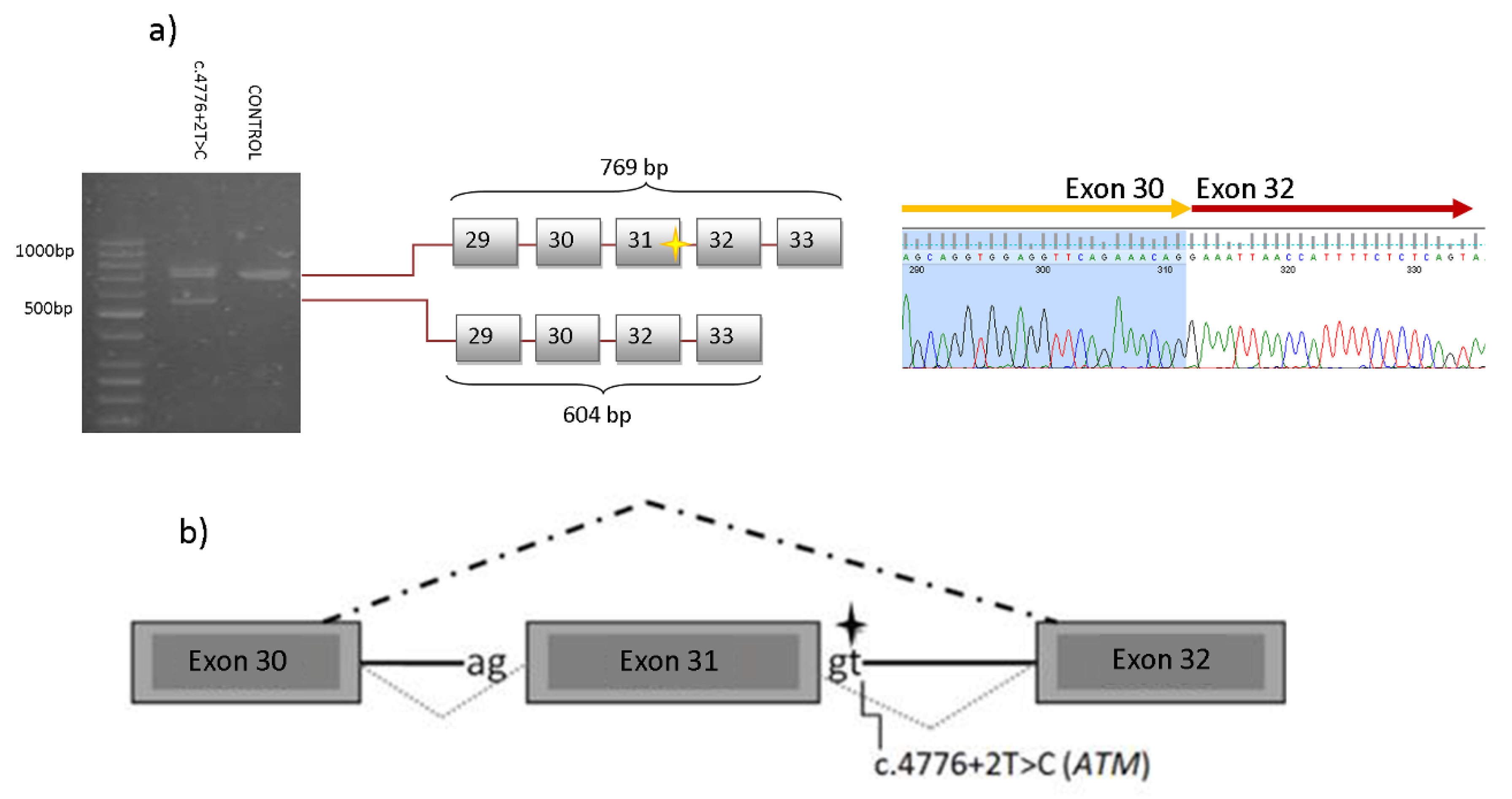 Cancers 12 02151 g004