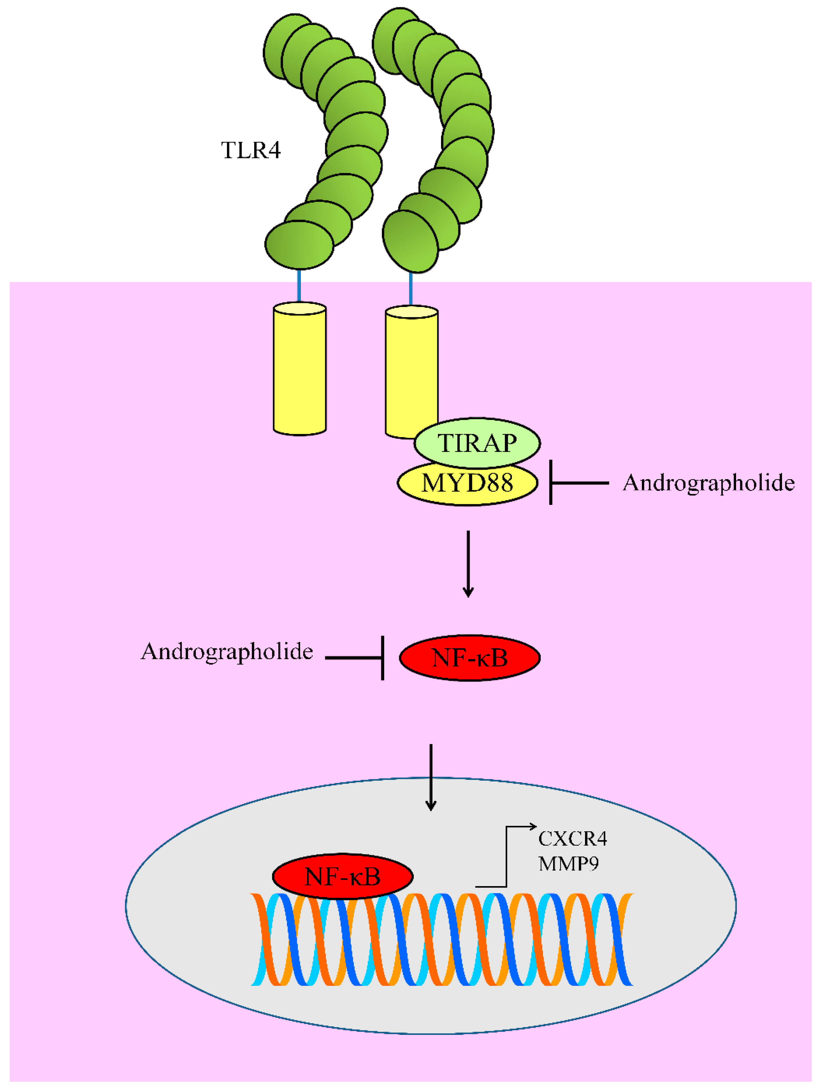Cancers 12 02159 g005 Cancers 12 02159 g005