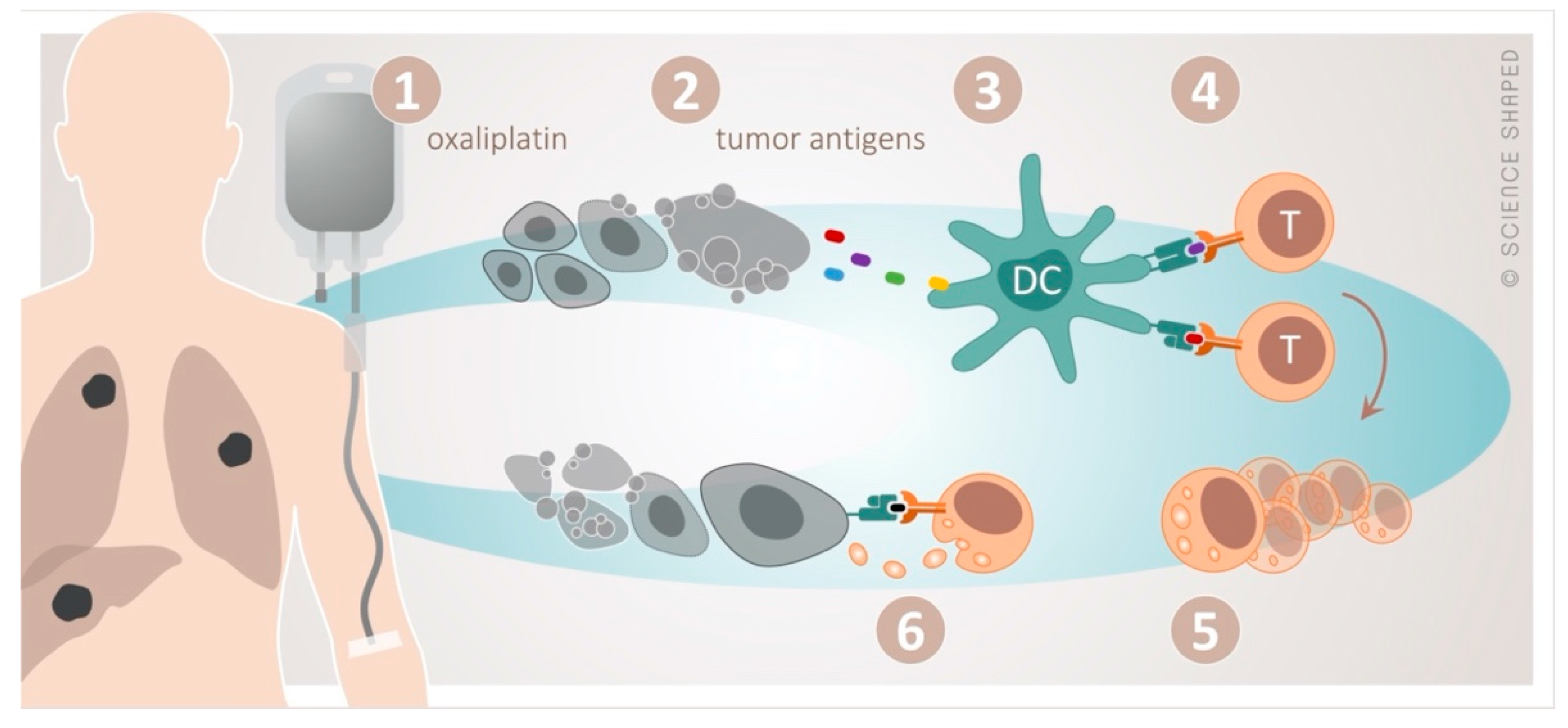 Cancers 12 02193 g001