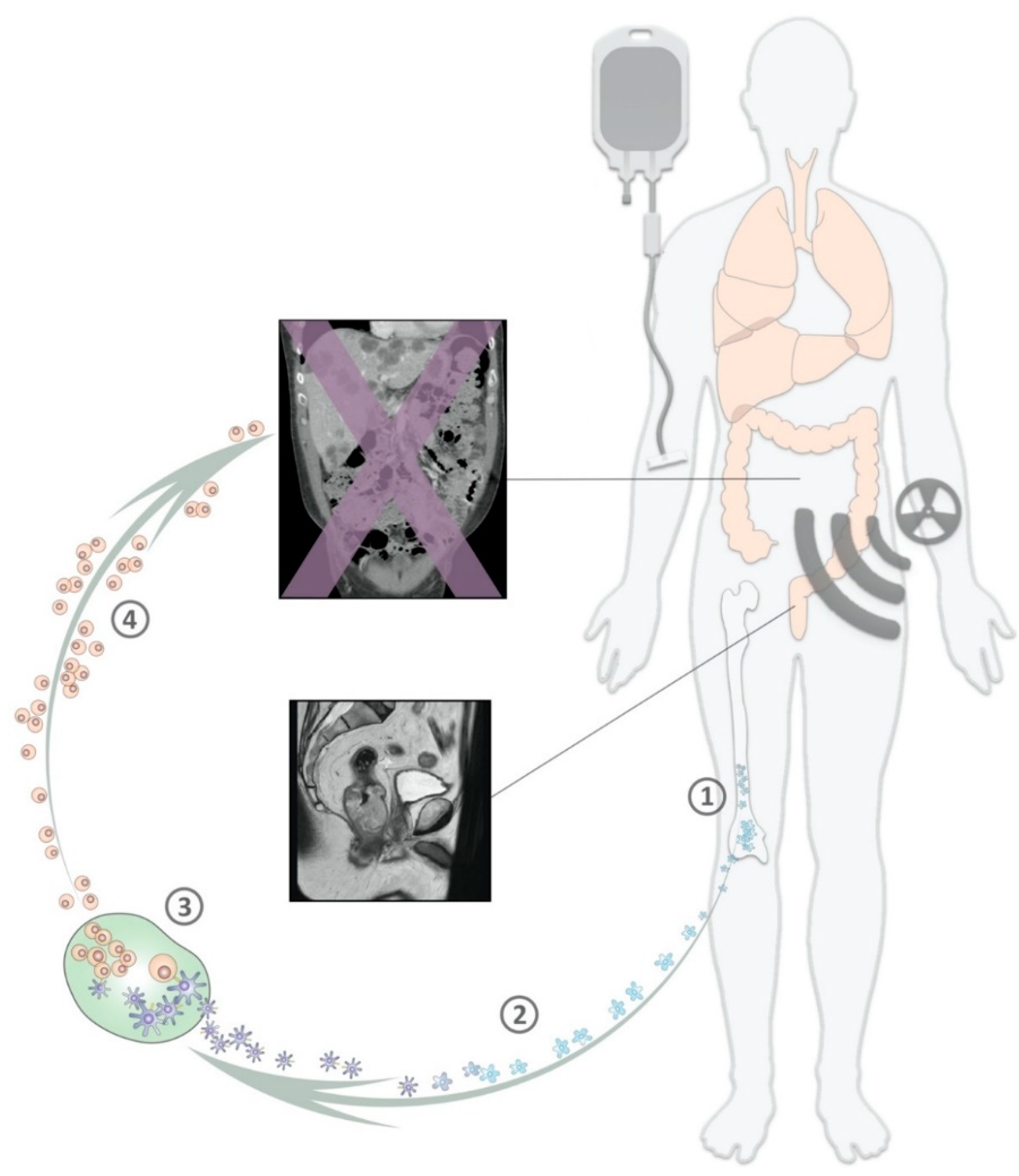 Cancers 12 02193 g002