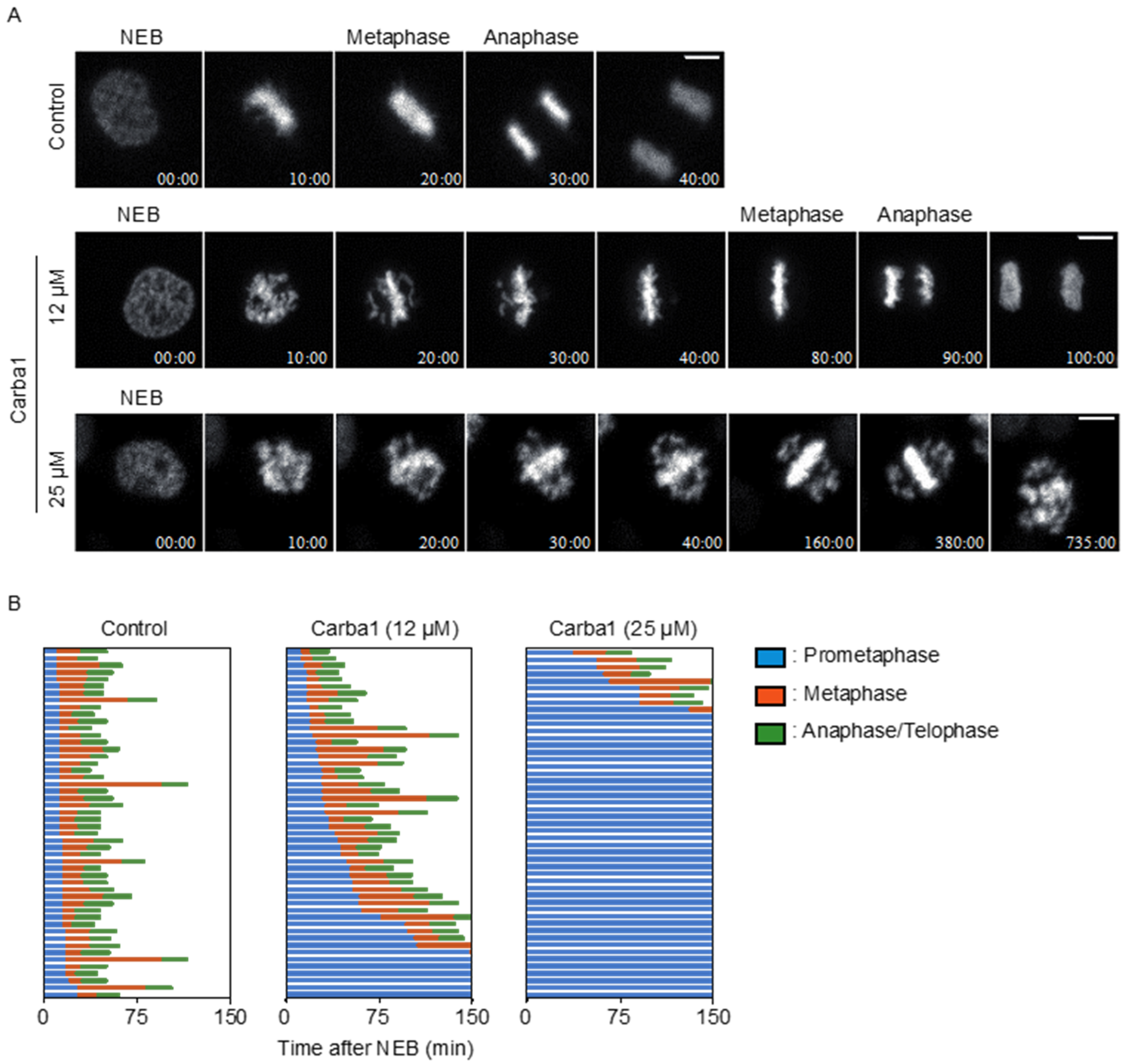 Cancers 12 02196 g003