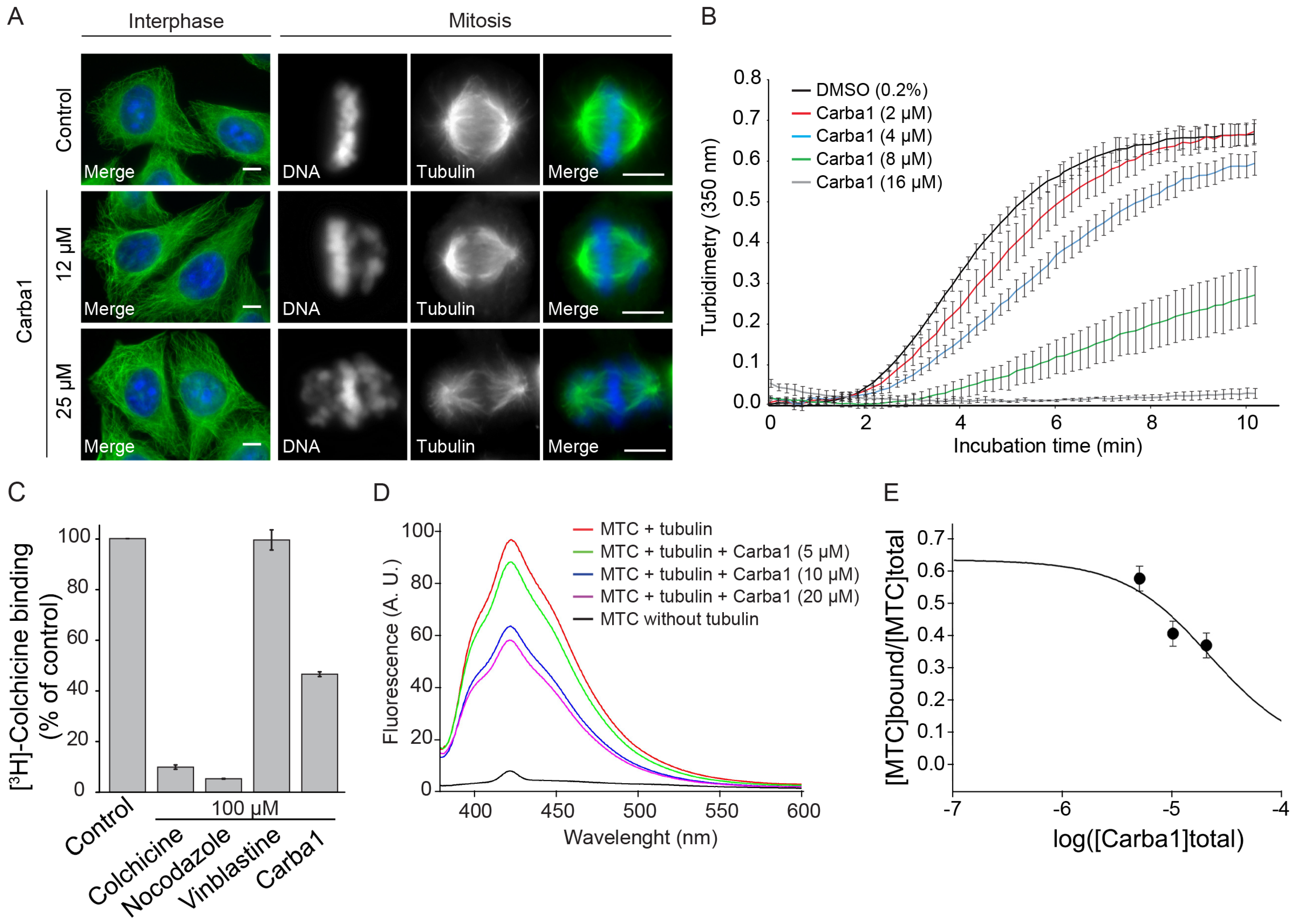 Cancers 12 02196 g005