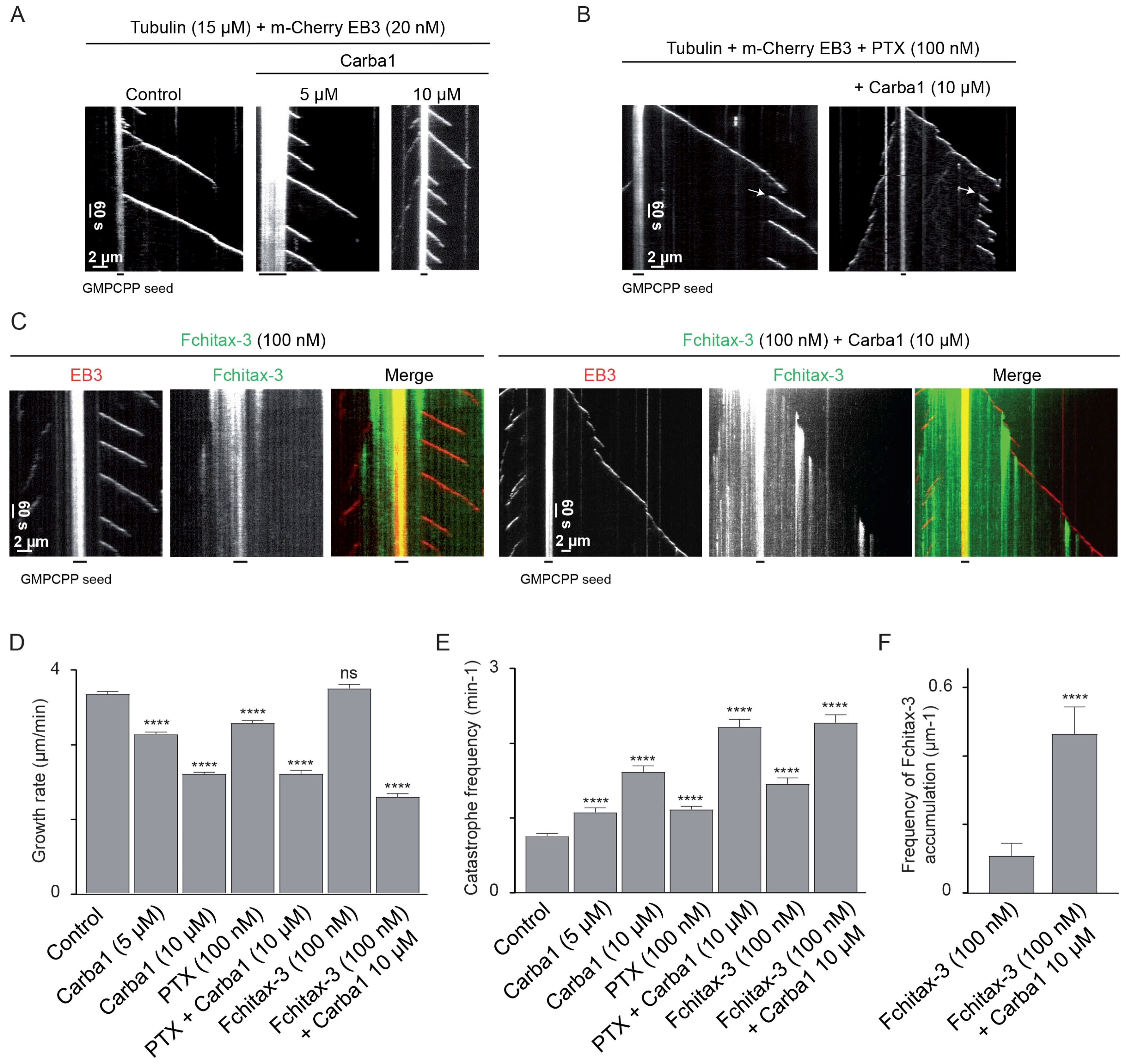 Cancers 12 02196 g006