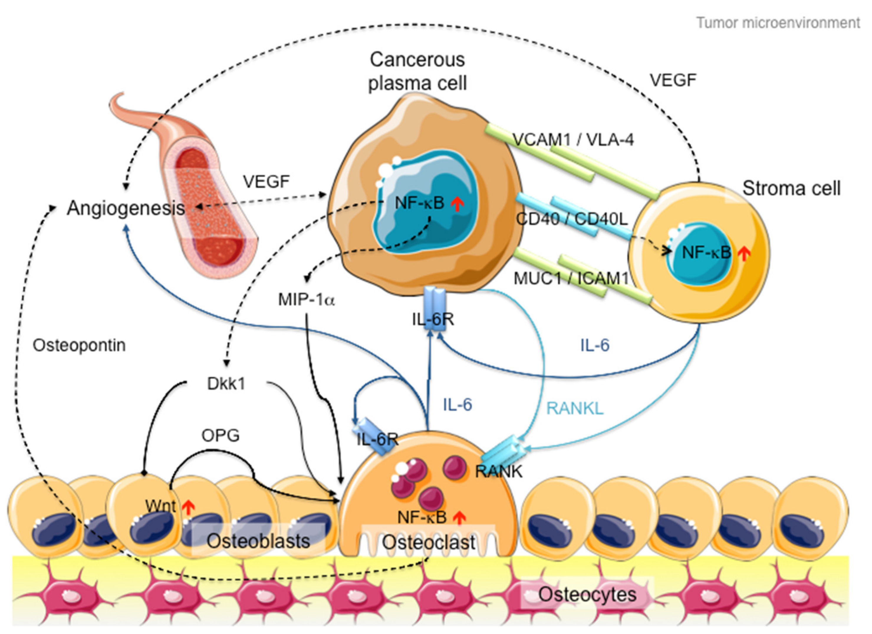 Cancers 12 02203 g002