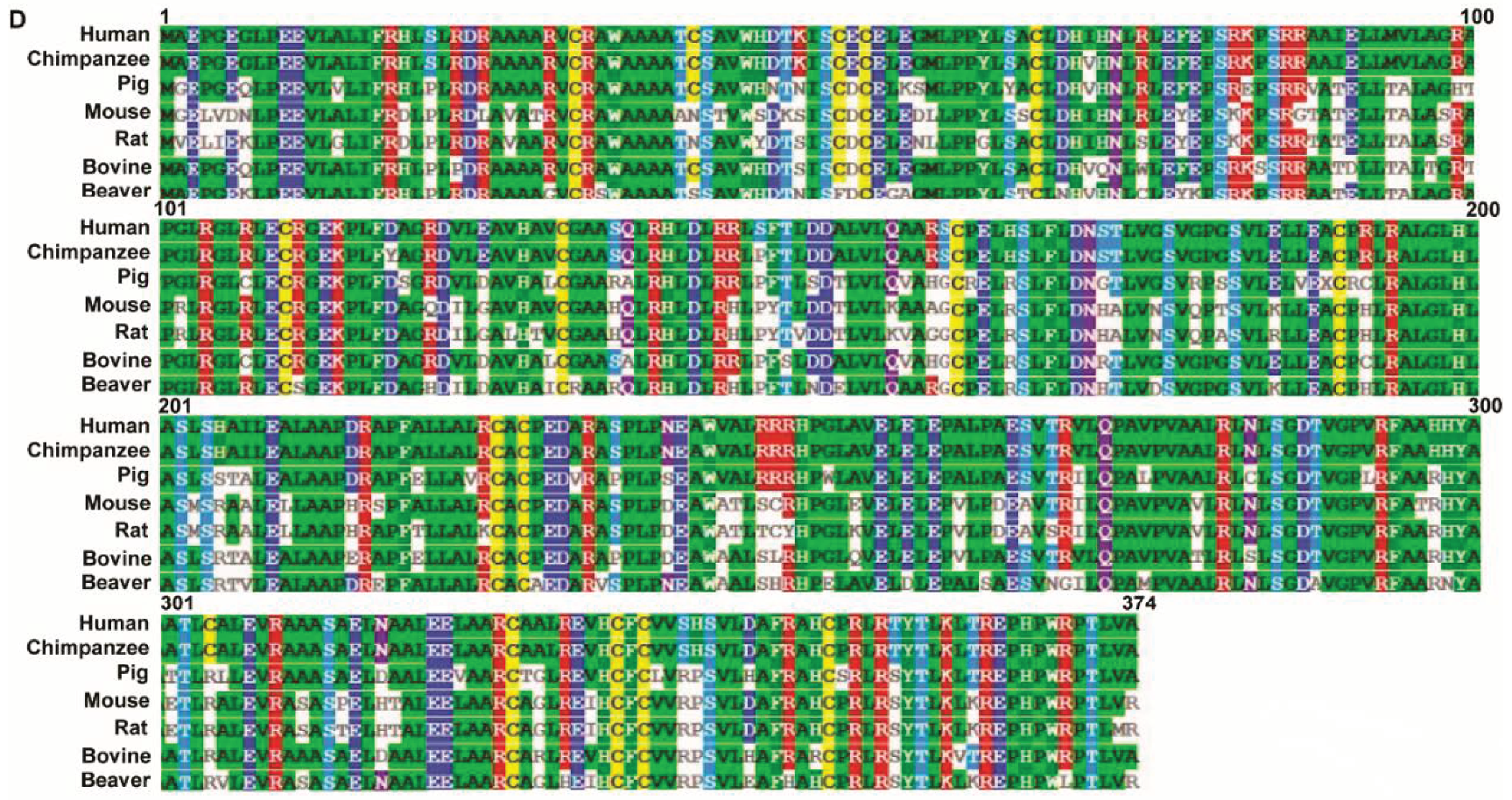 Cancers 12 02210 g001b Cancers 12 02210 g001b