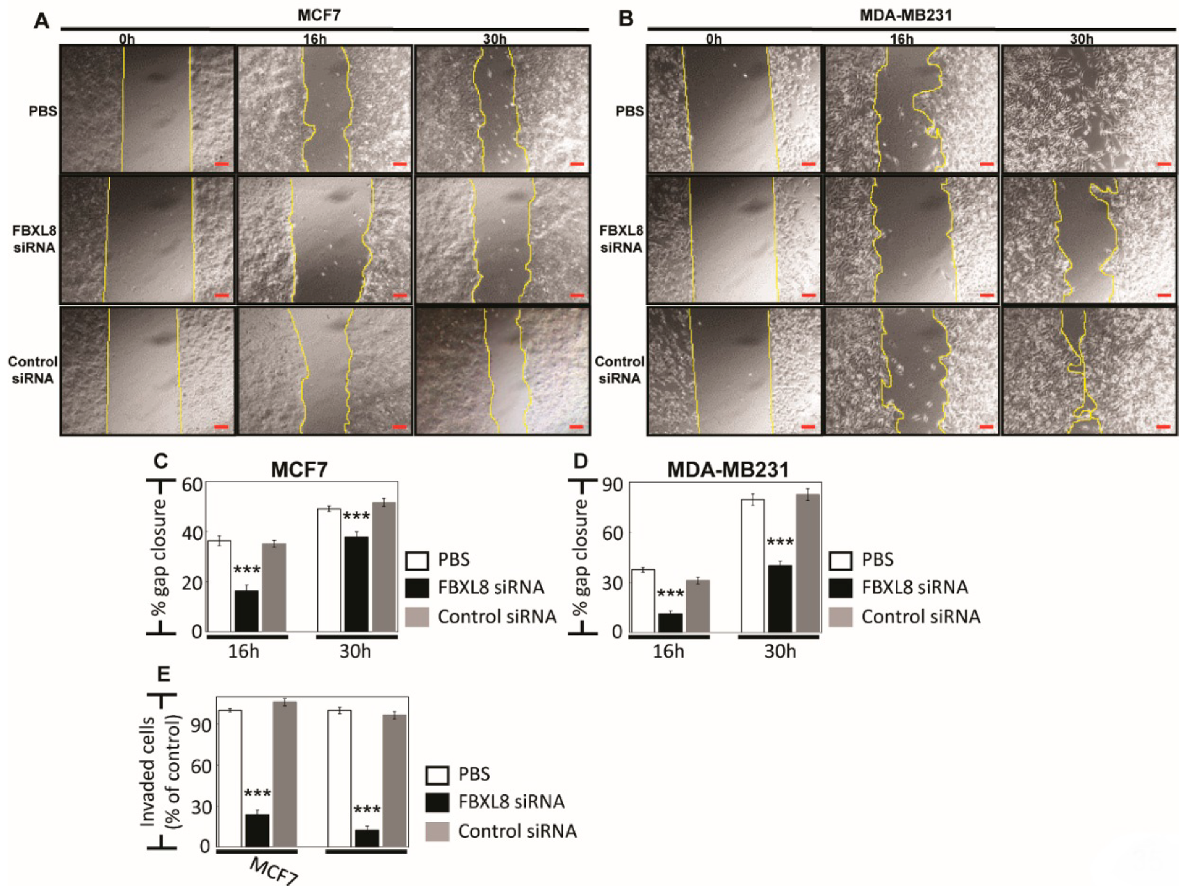 Cancers 12 02210 g004 Cancers 12 02210 g004