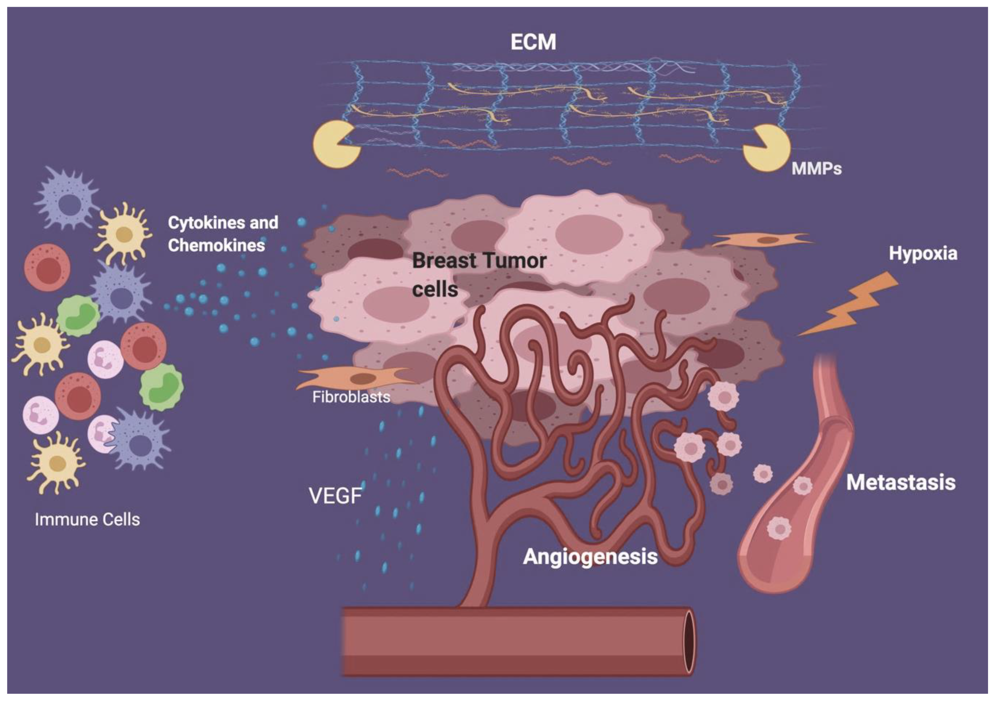 Cancers 12 02226 g001