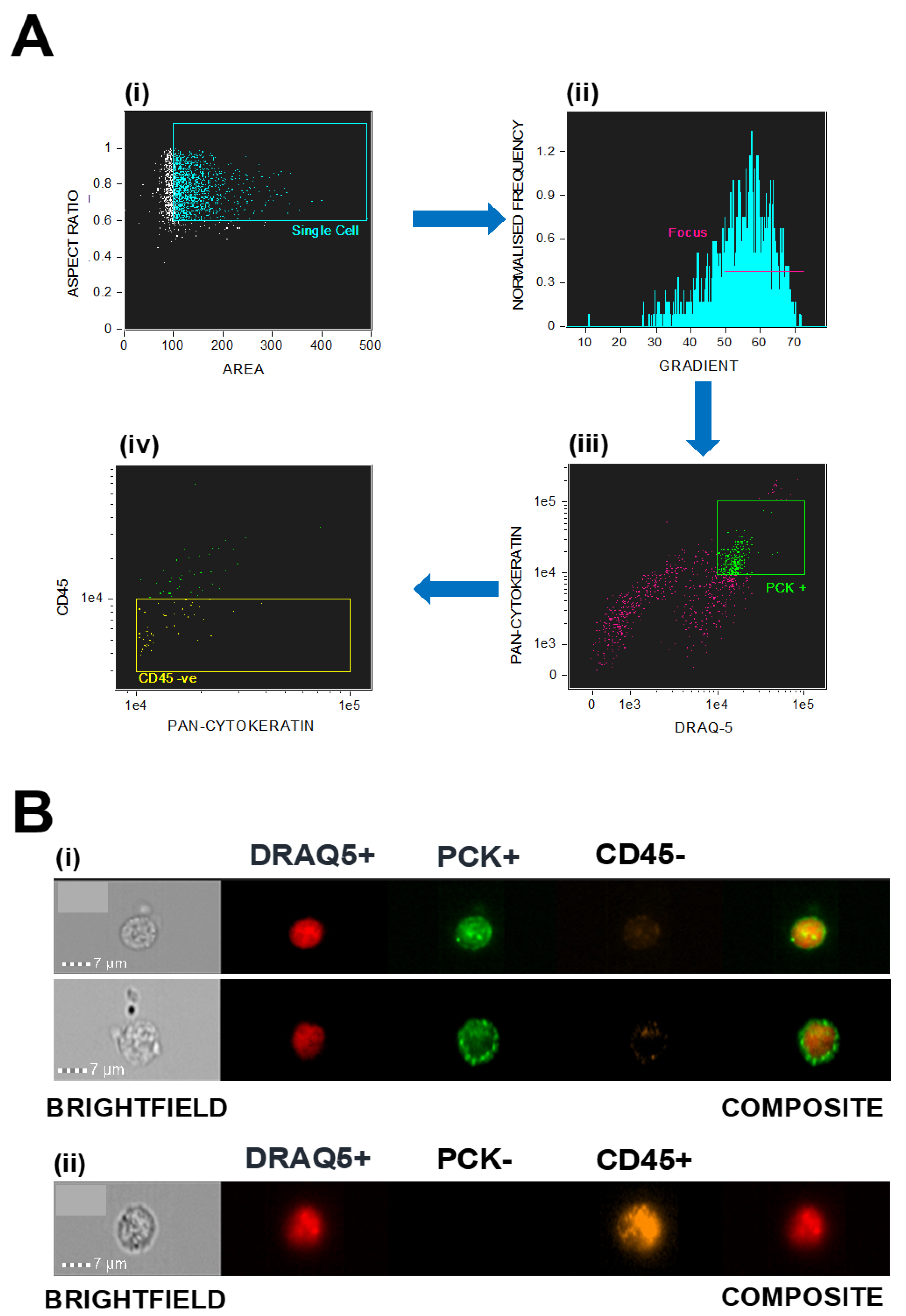 Cancers 12 02229 g001
