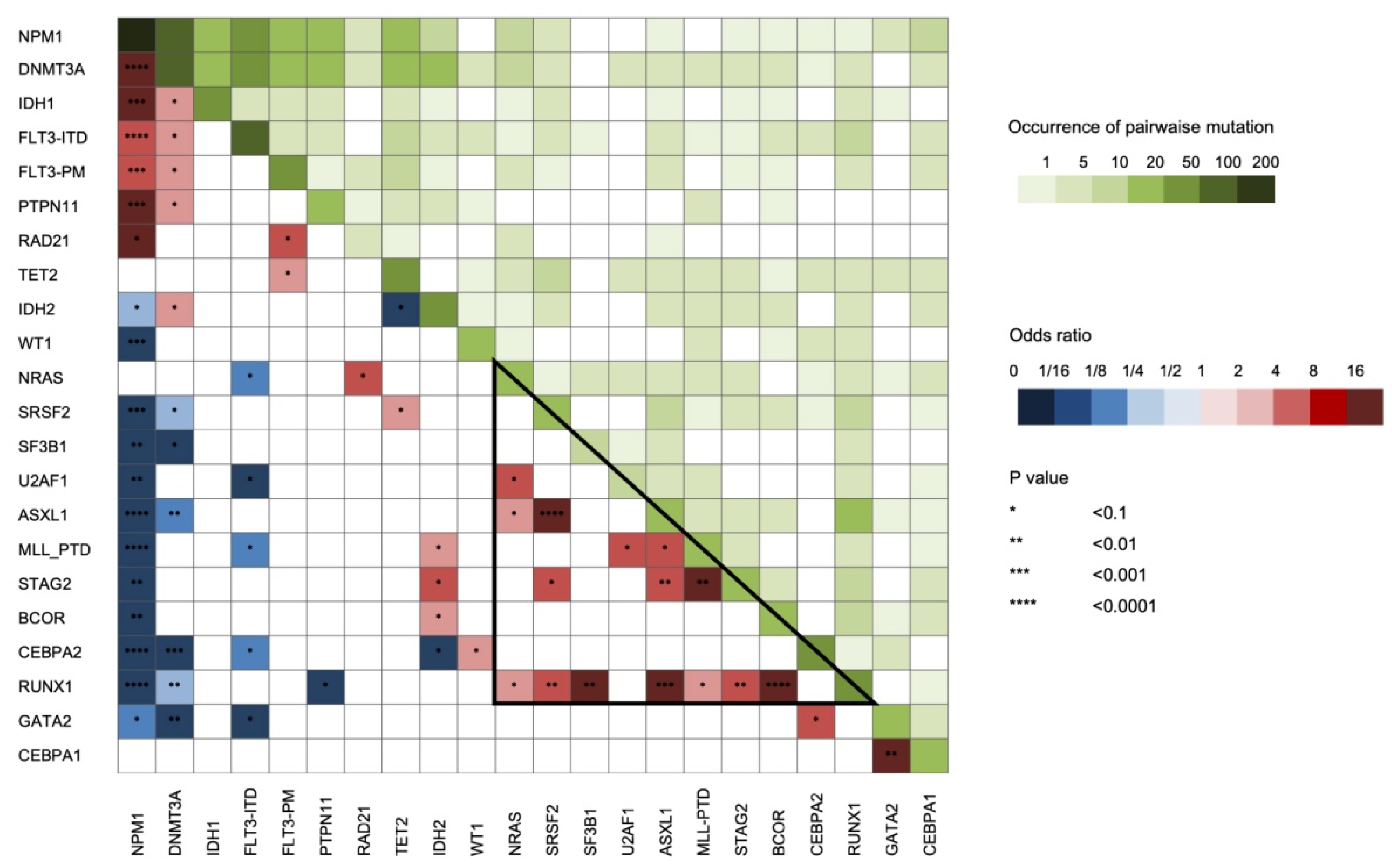 Cancers 12 02242 g004 Cancers 12 02242 g004
