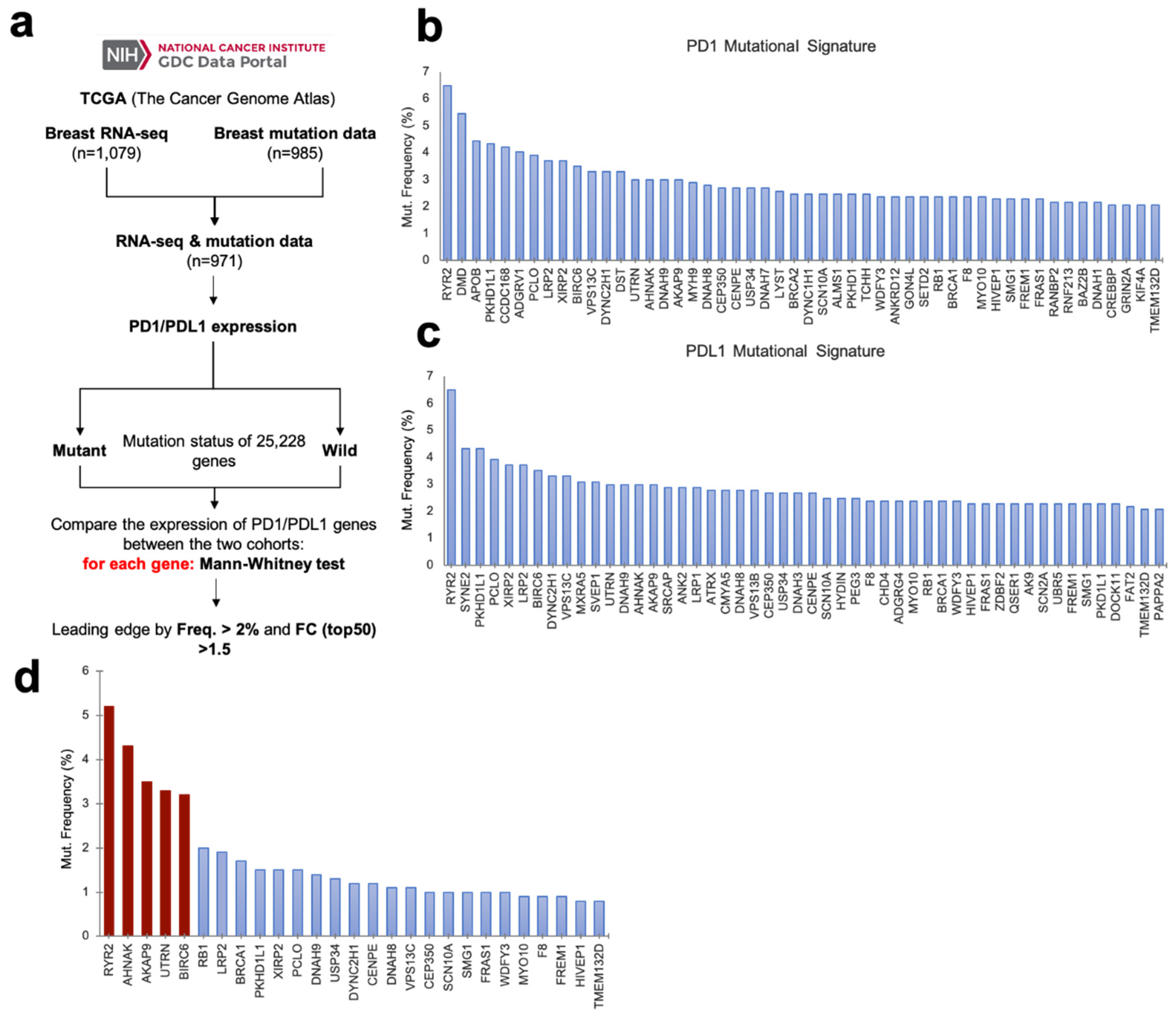 Cancers 12 02243 g001