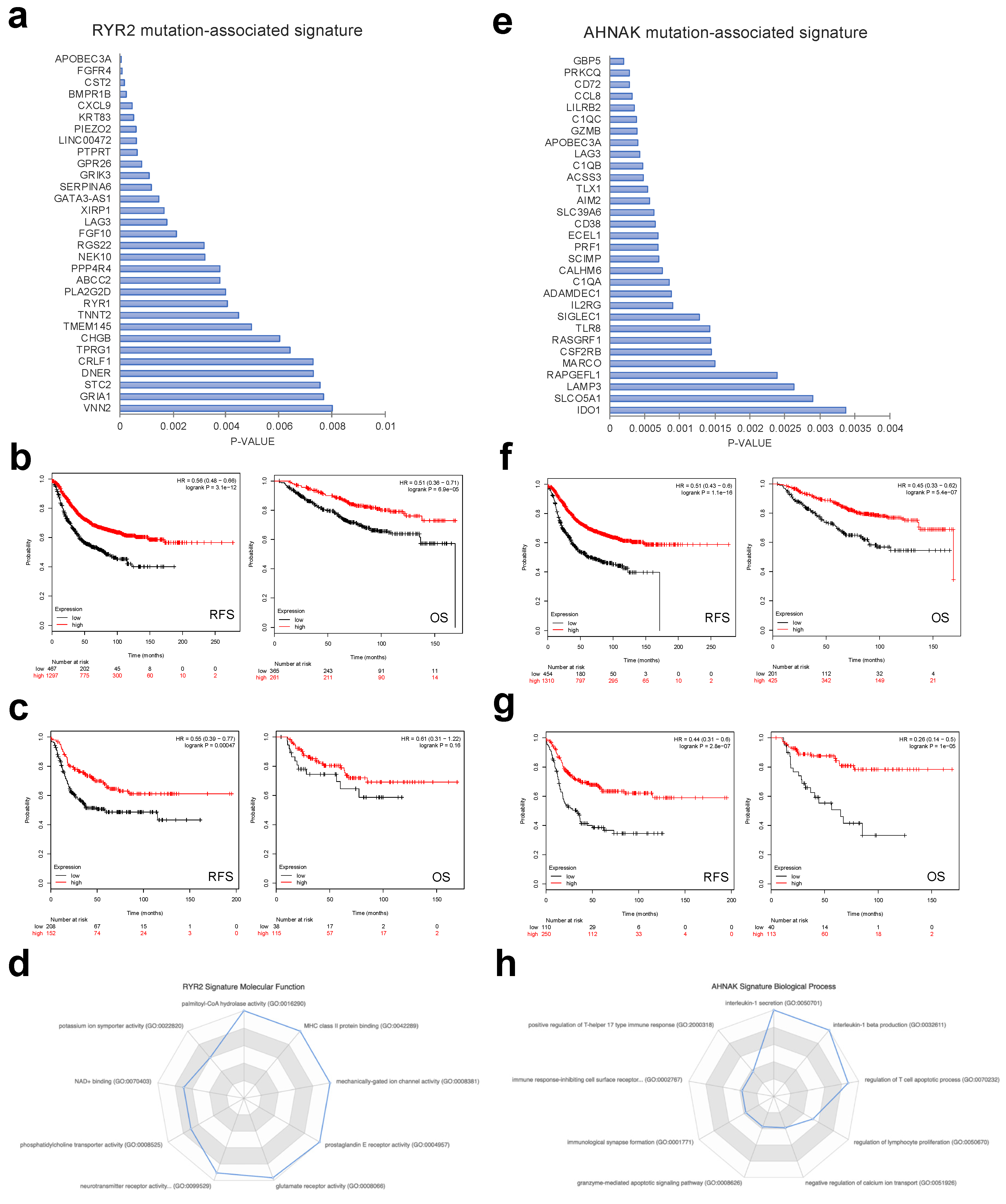 Cancers 12 02243 g003