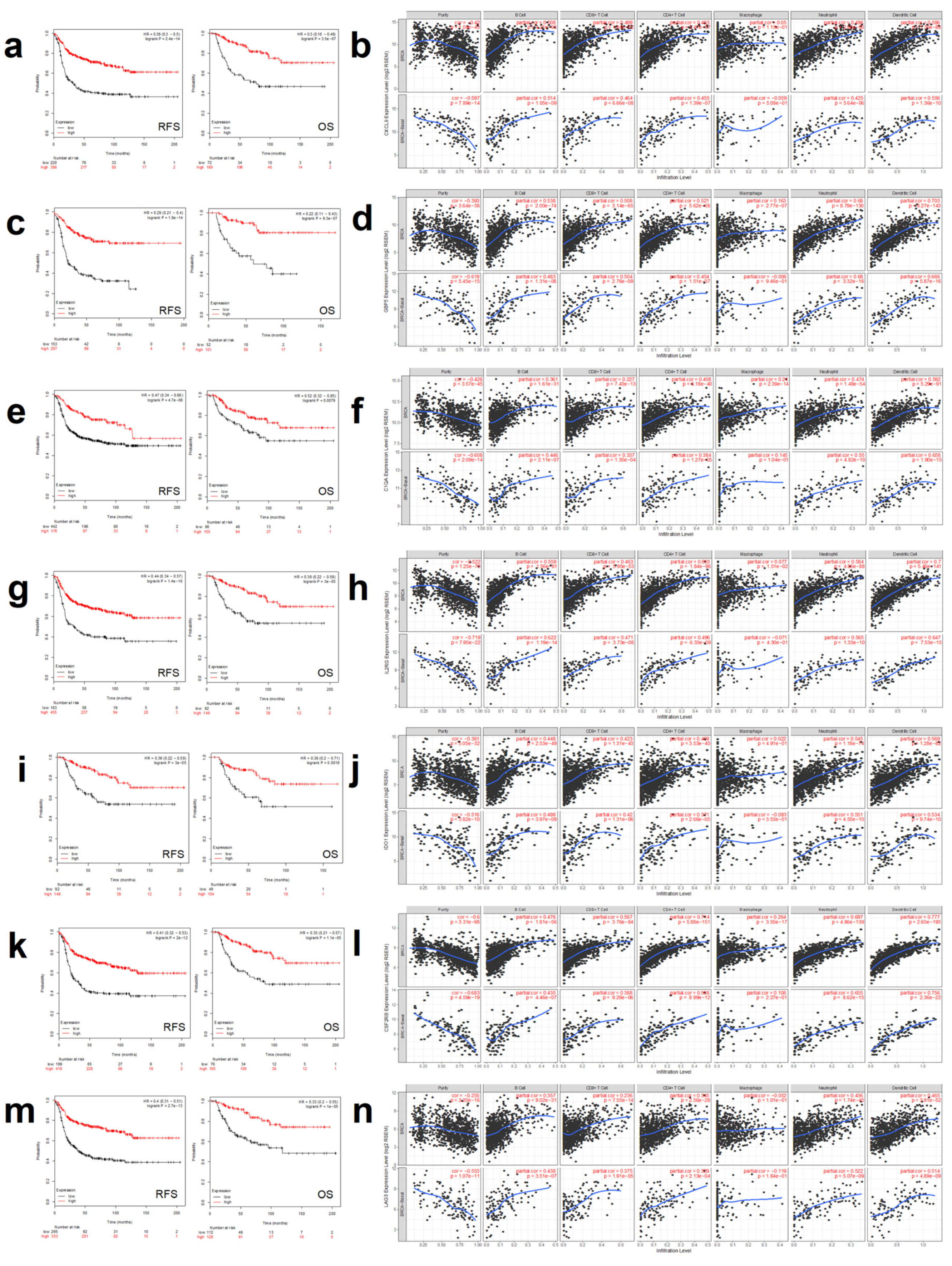 Cancers 12 02243 g004