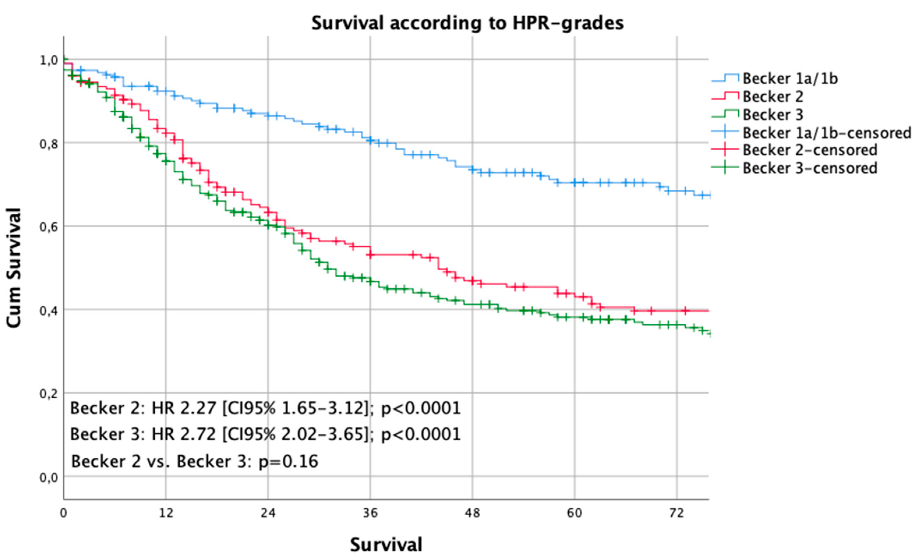 Cancers 12 02244 g002 Cancers 12 02244 g002