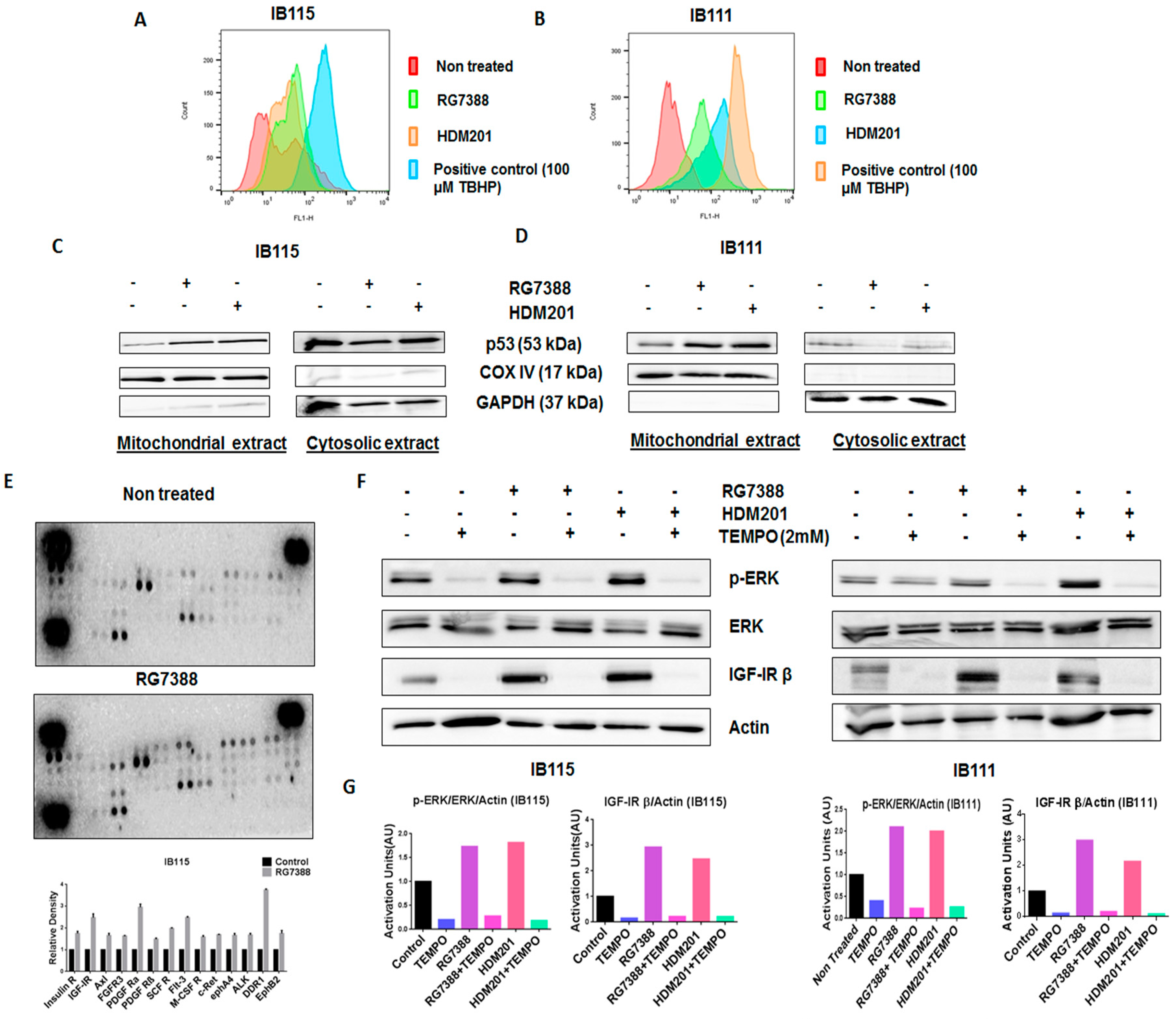 Cancers 12 02253 g005