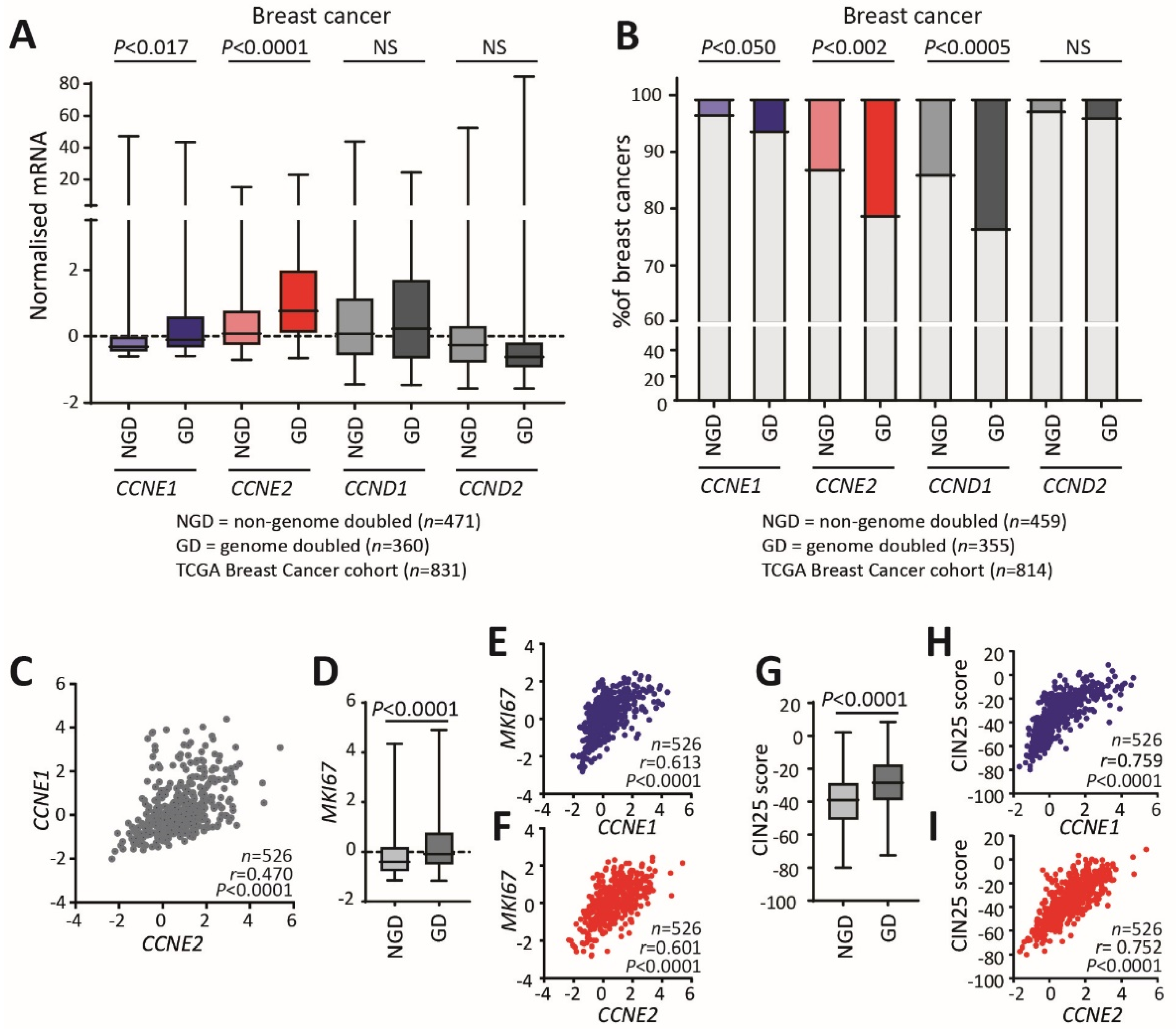 Cancers 12 02268 g001