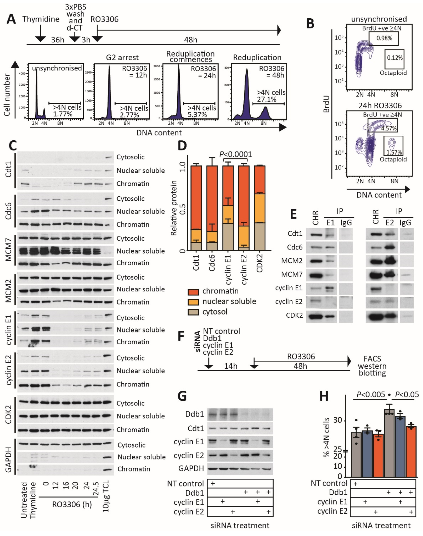 Cancers 12 02268 g005