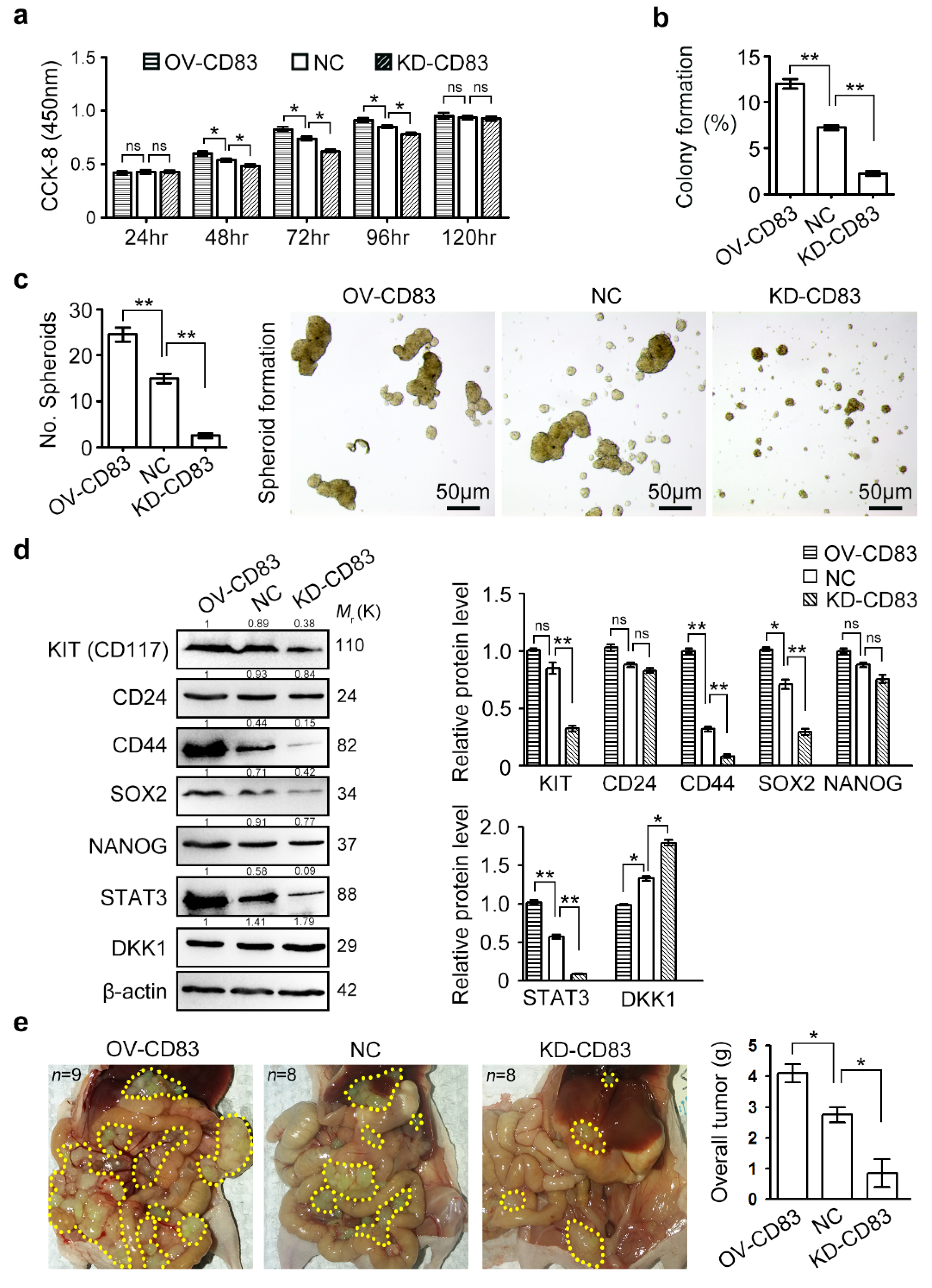 Cancers 12 02269 g002 Cancers 12 02269 g002