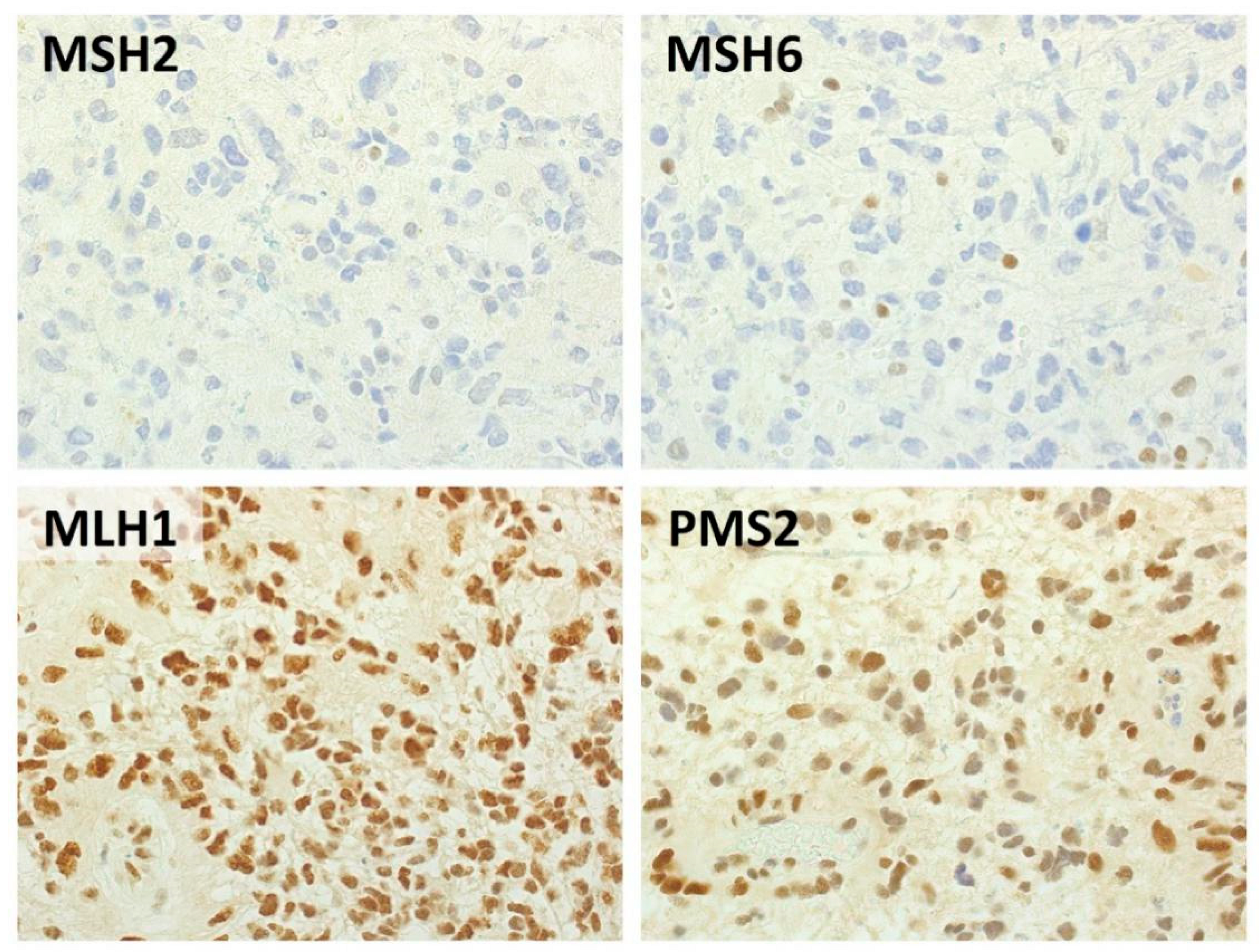 Cancers 12 02283 g001