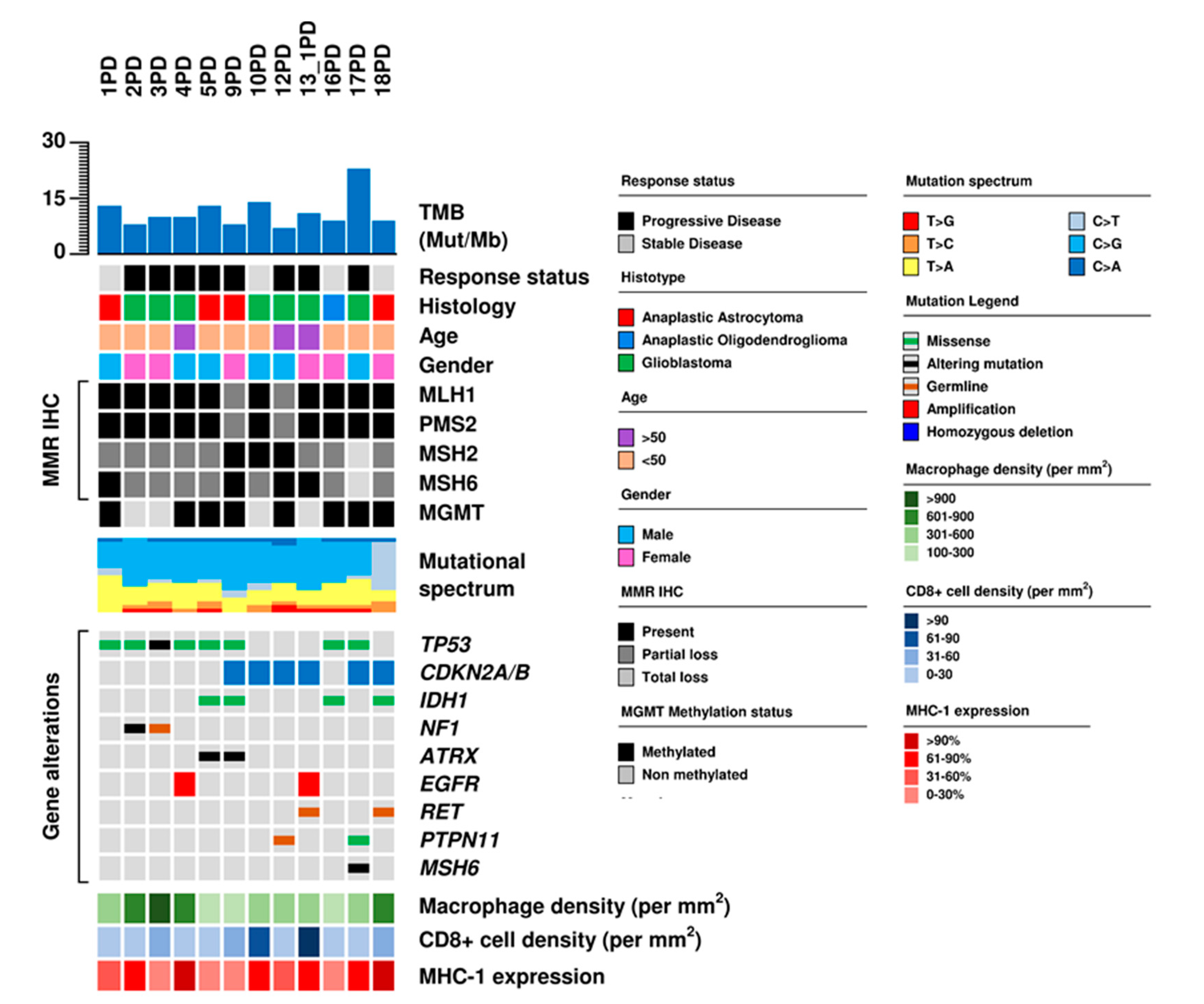 Cancers 12 02283 g003