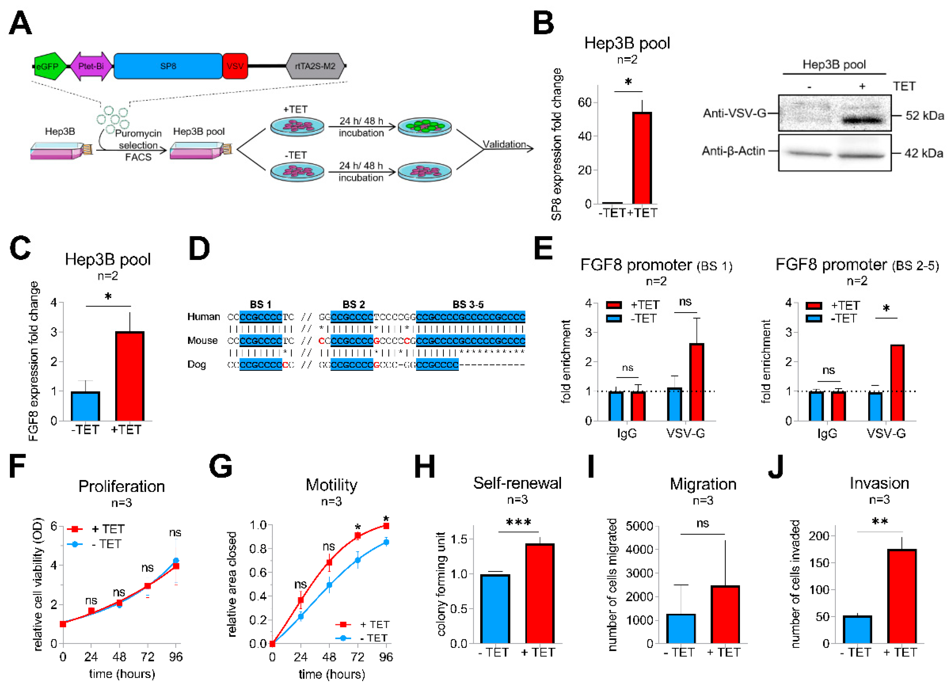 Cancers 12 02294 g002 Cancers 12 02294 g002
