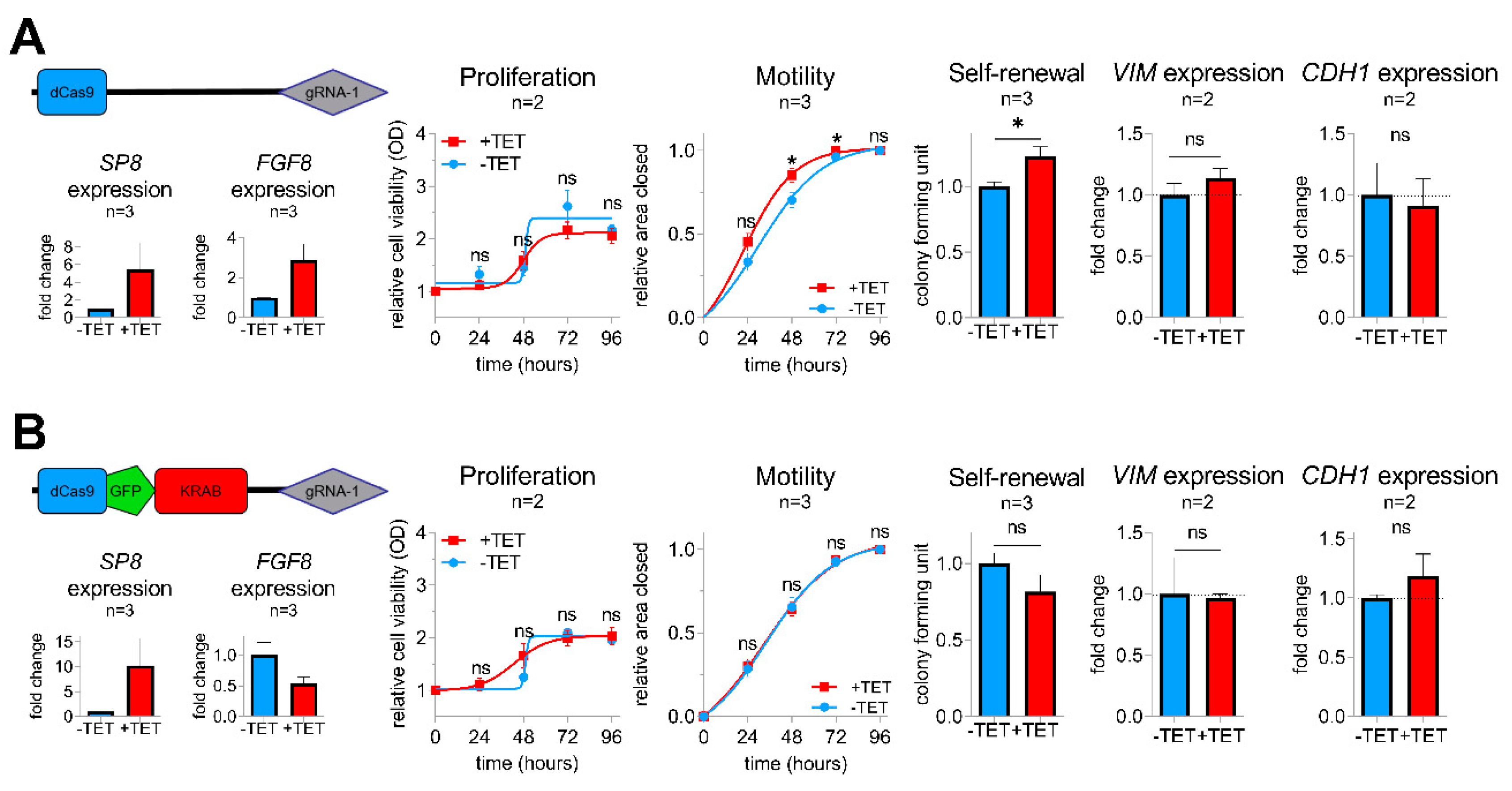 Cancers 12 02294 g004 Cancers 12 02294 g004