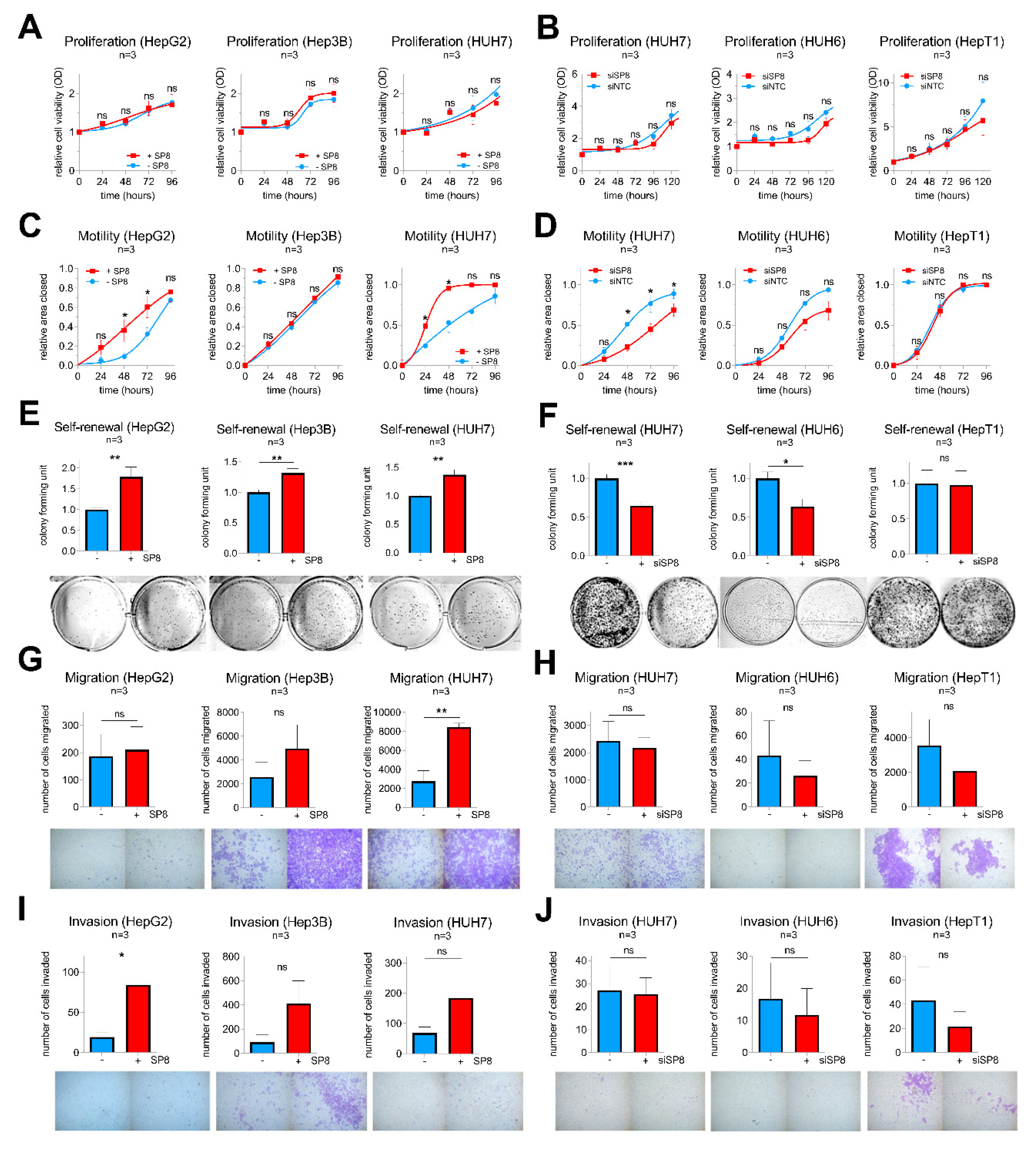 Cancers 12 02294 g005 Cancers 12 02294 g005