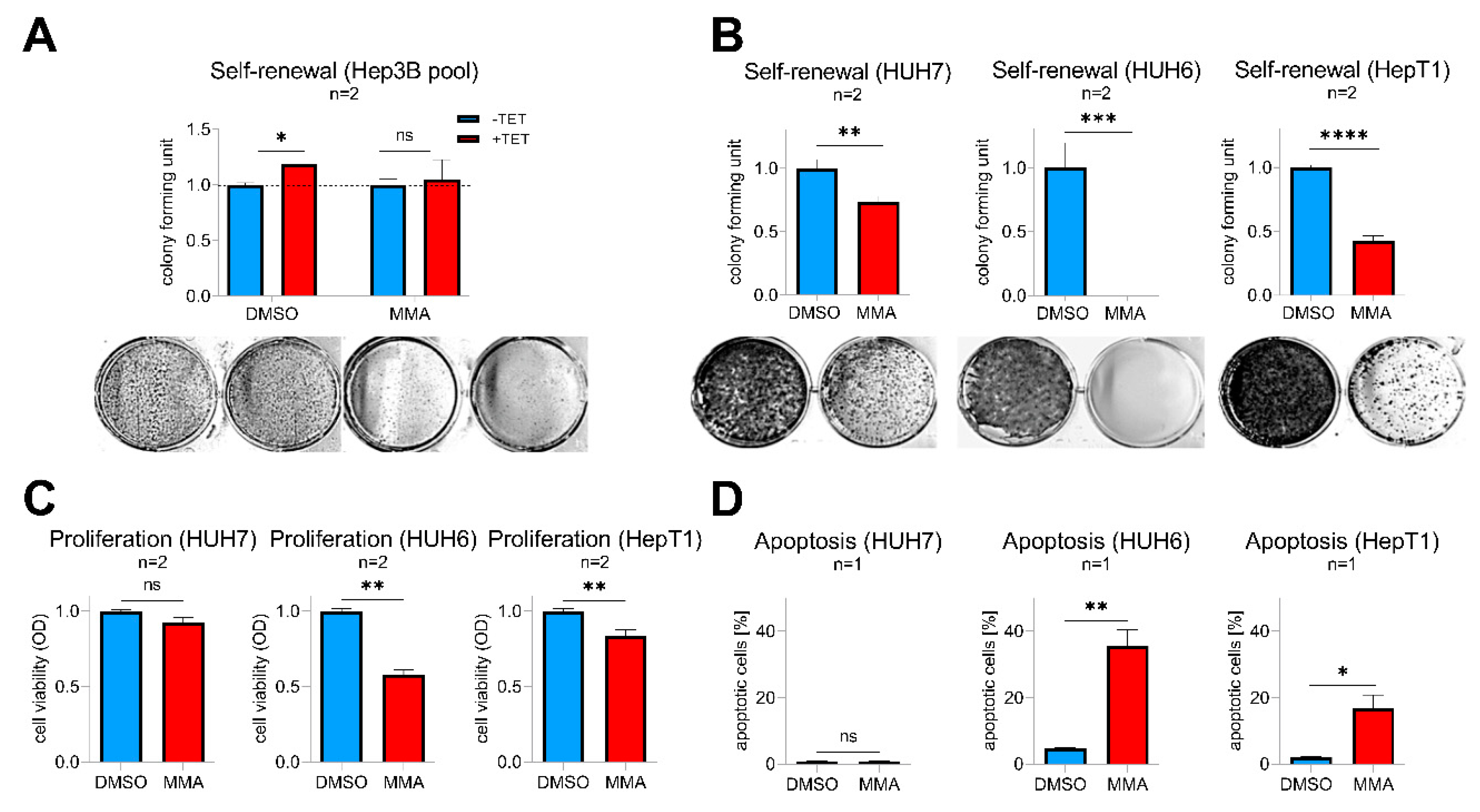 Cancers 12 02294 g006 Cancers 12 02294 g006