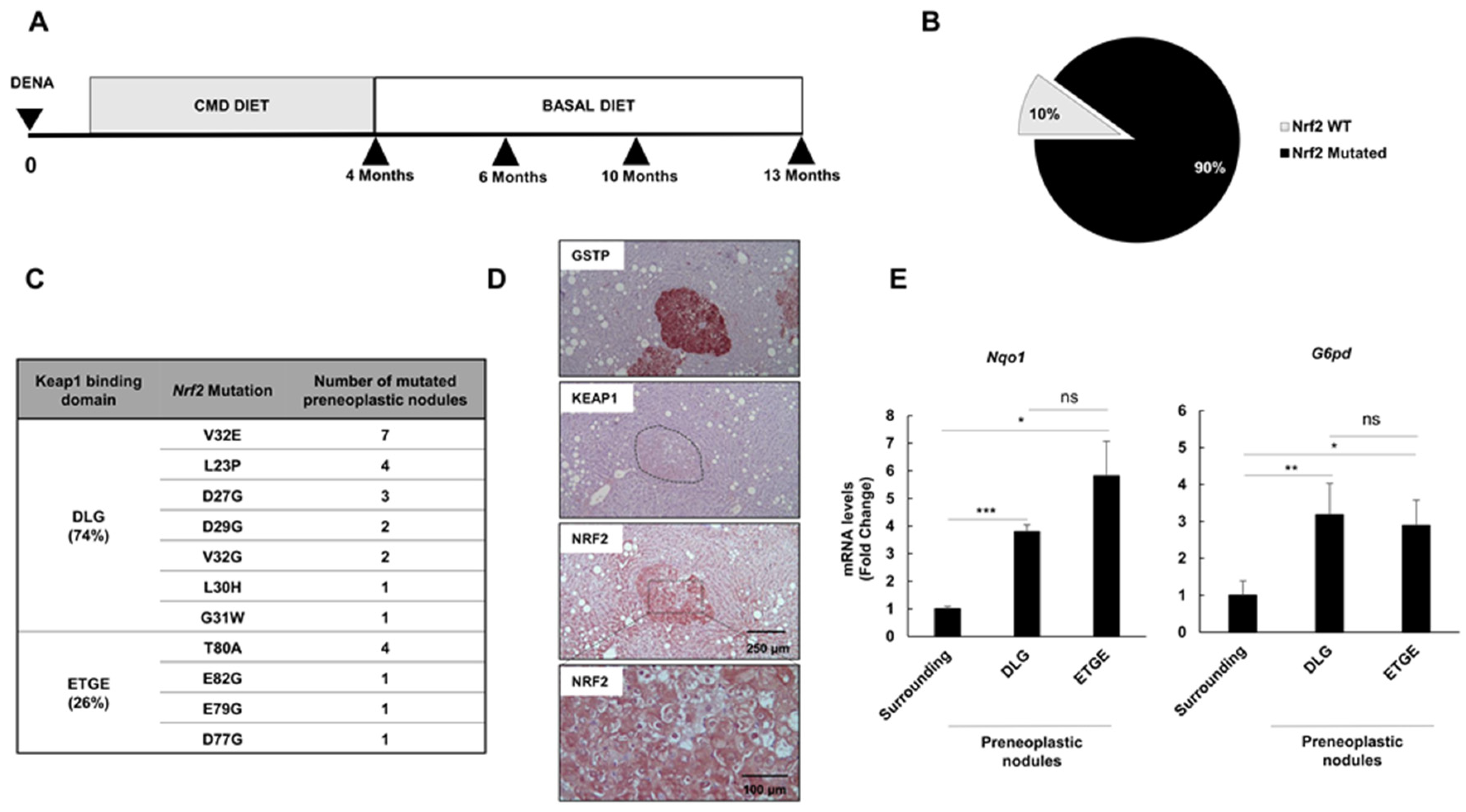 Cancers 12 02305 g001