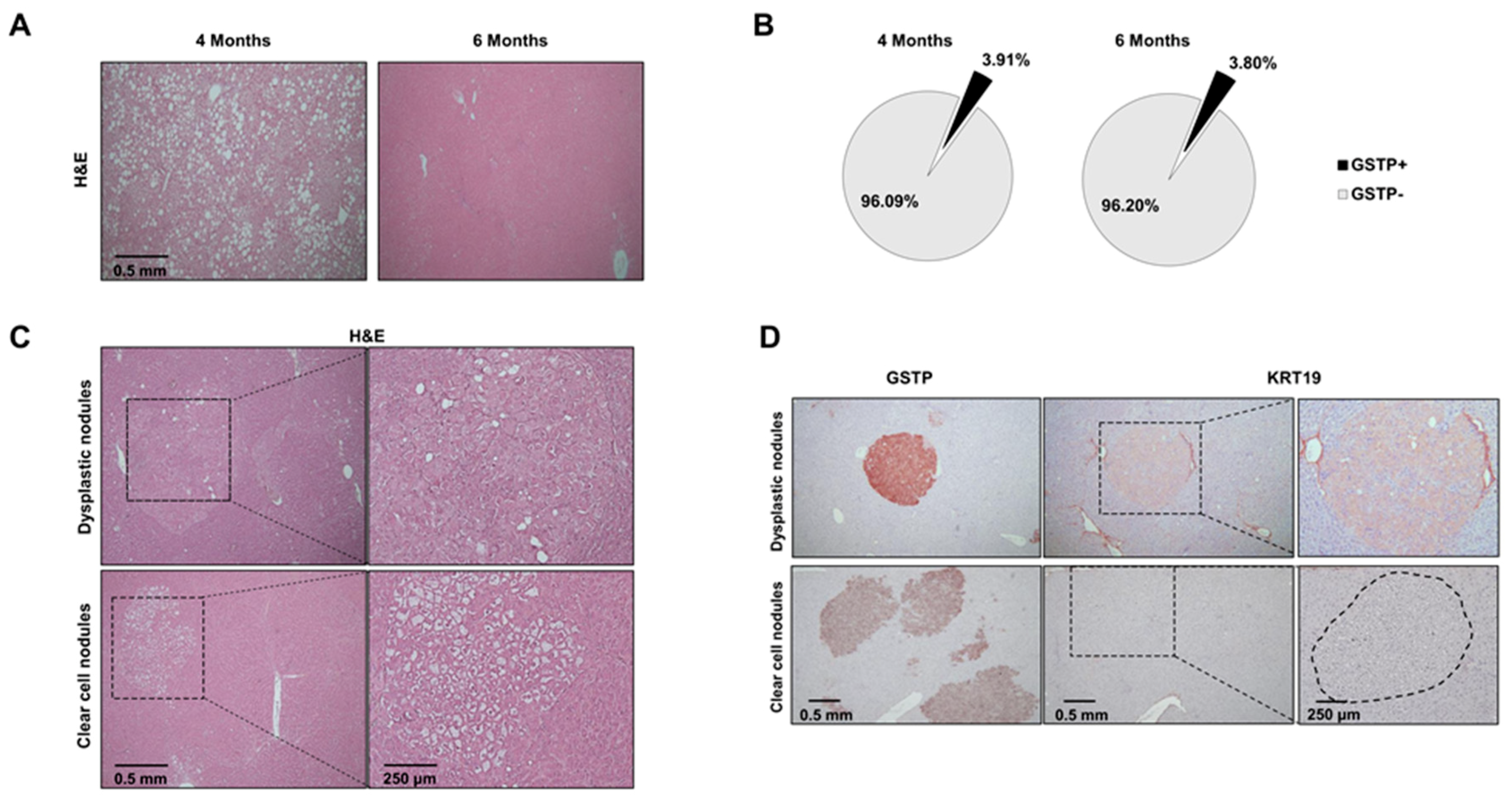 Cancers 12 02305 g002