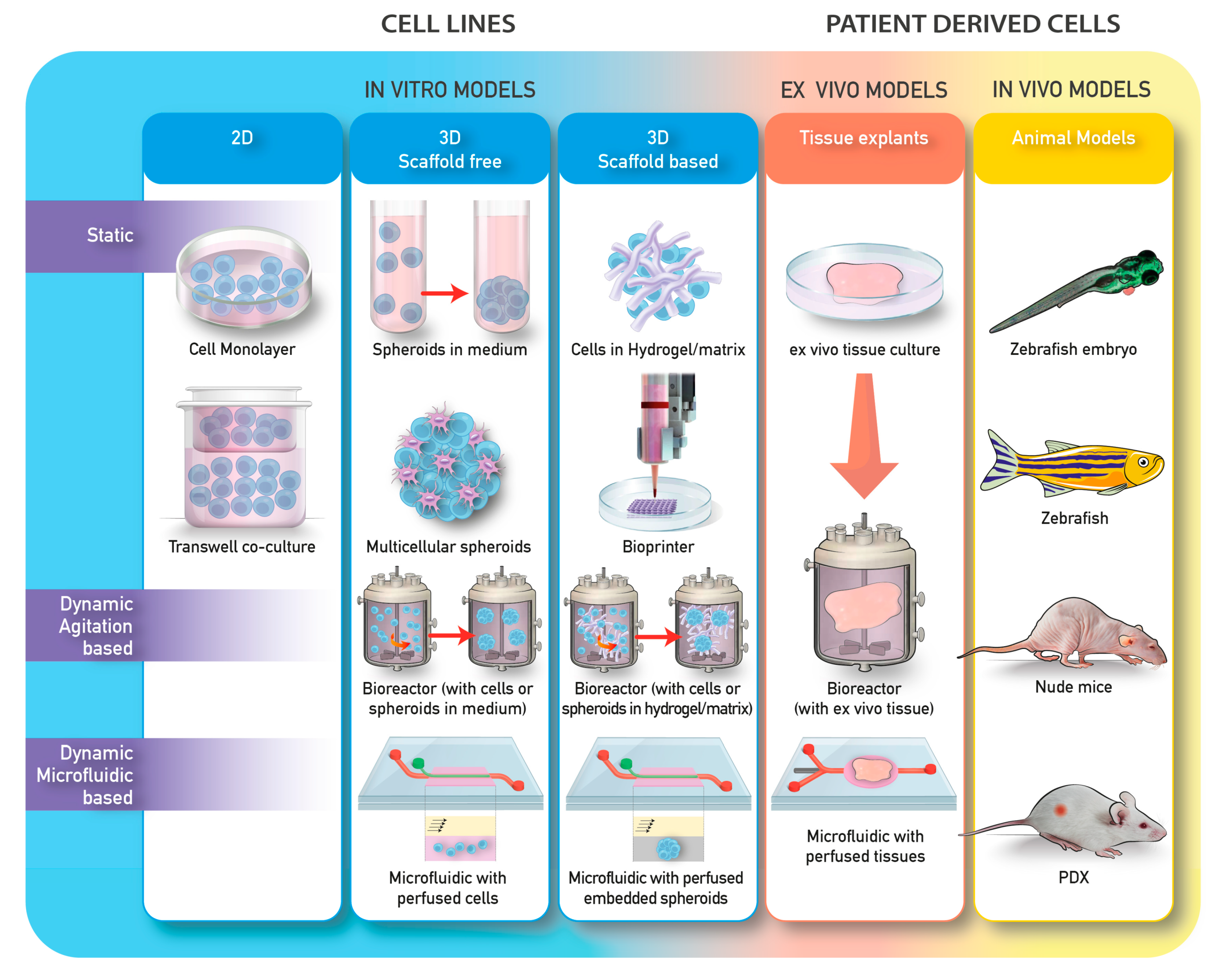 Cancers 12 02315 g002