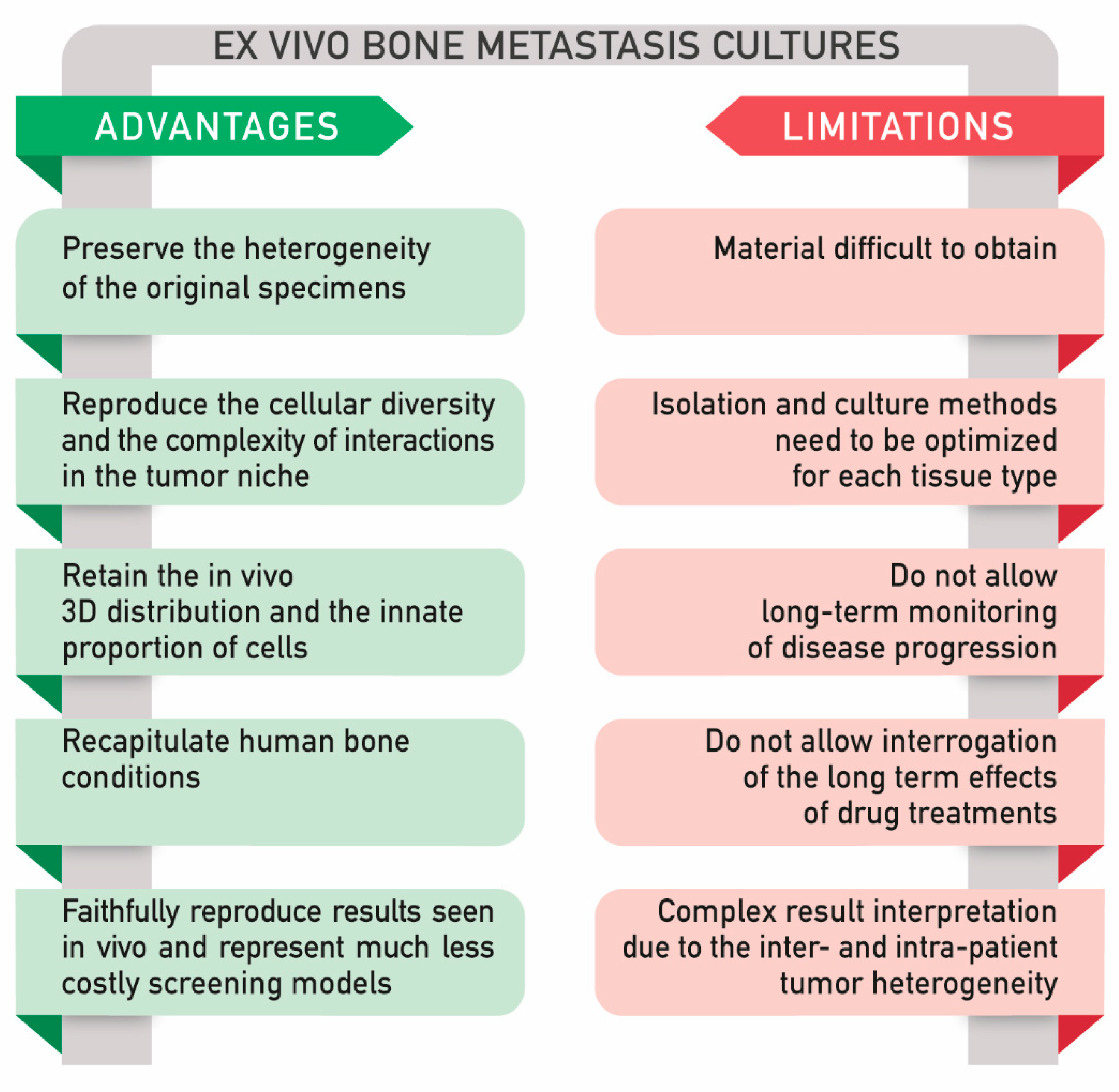 Cancers 12 02315 g003