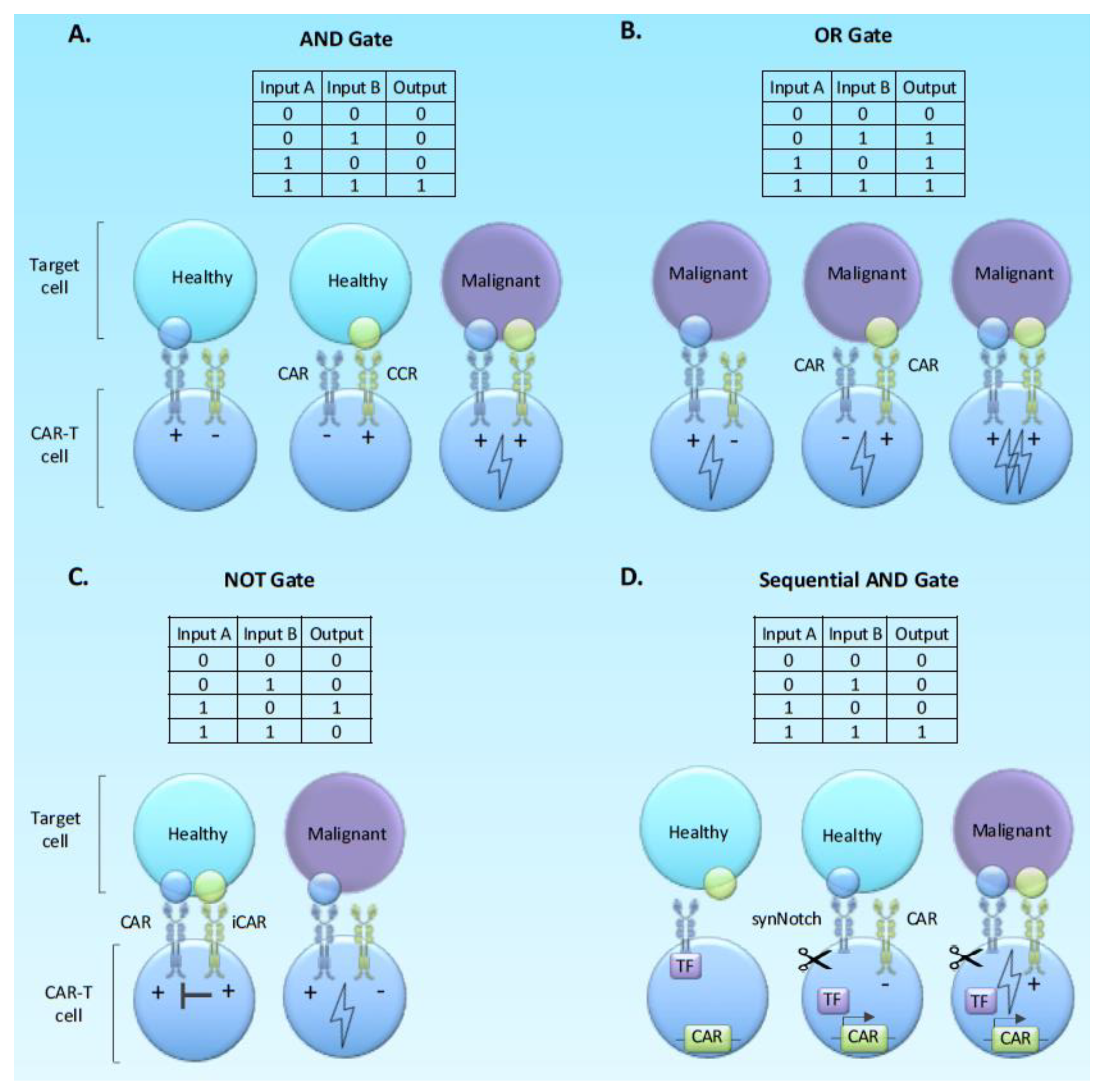 Cancers 12 02326 g004 Cancers 12 02326 g004