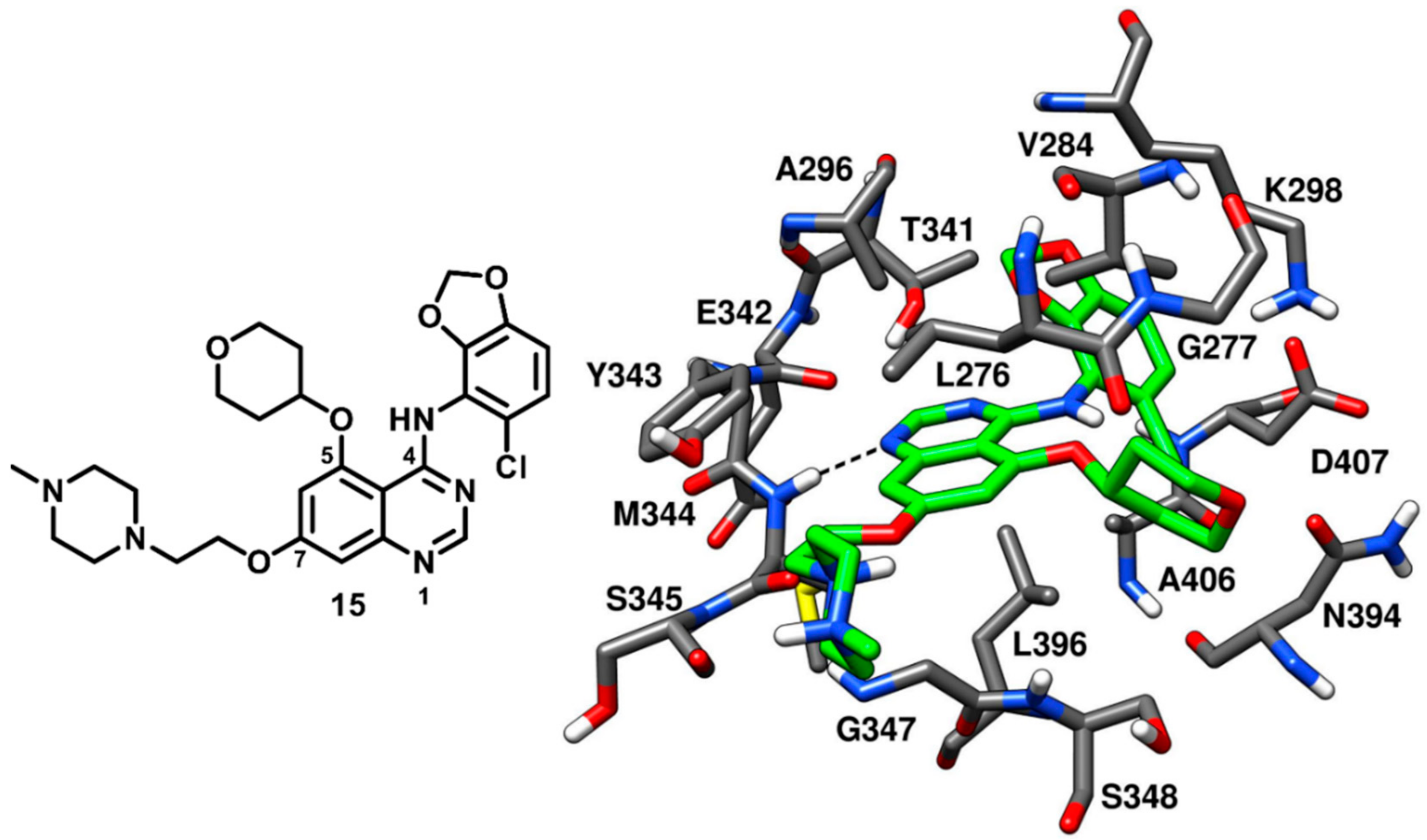 Cancers 12 02327 g015