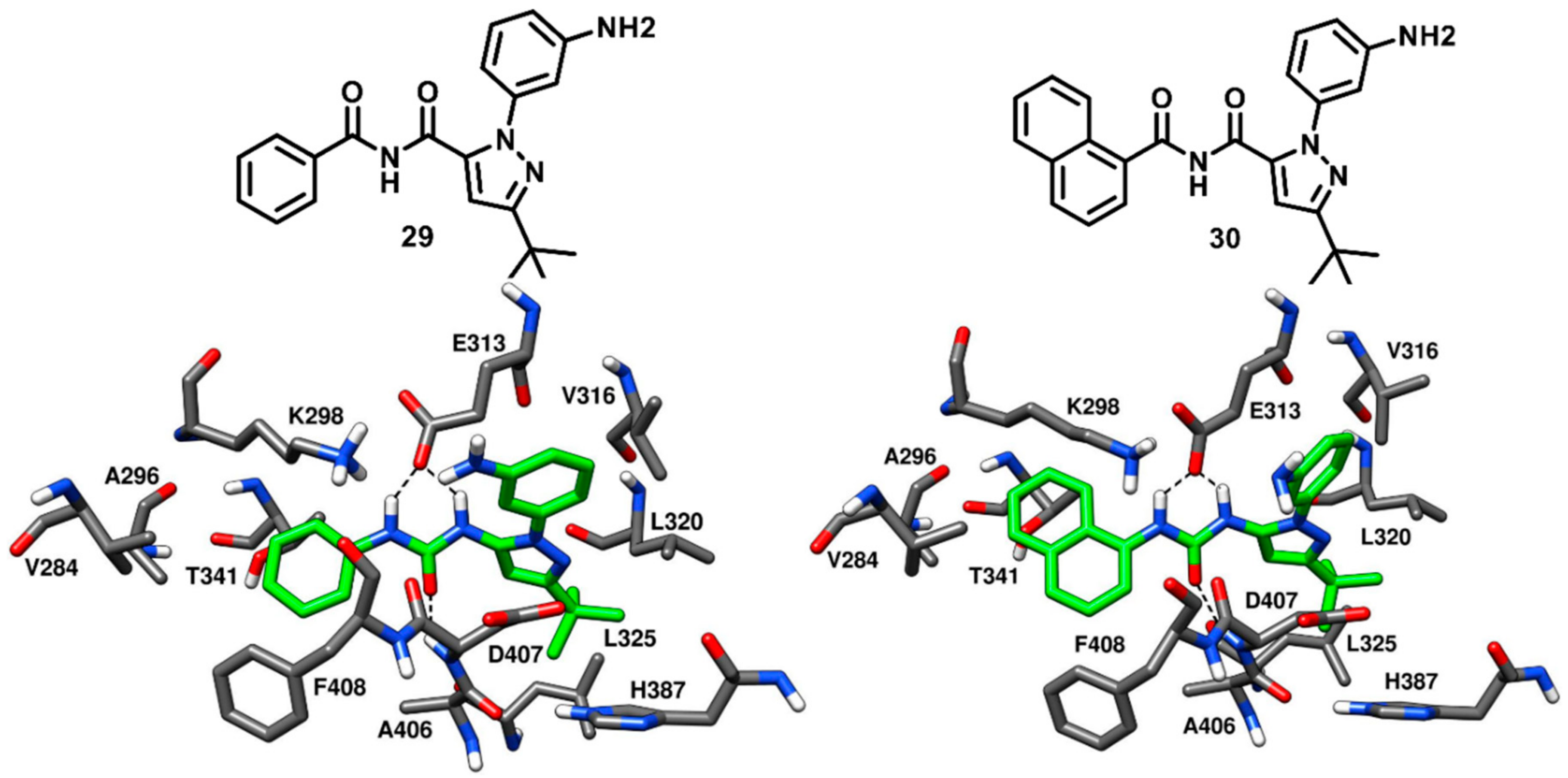 Cancers 12 02327 g023
