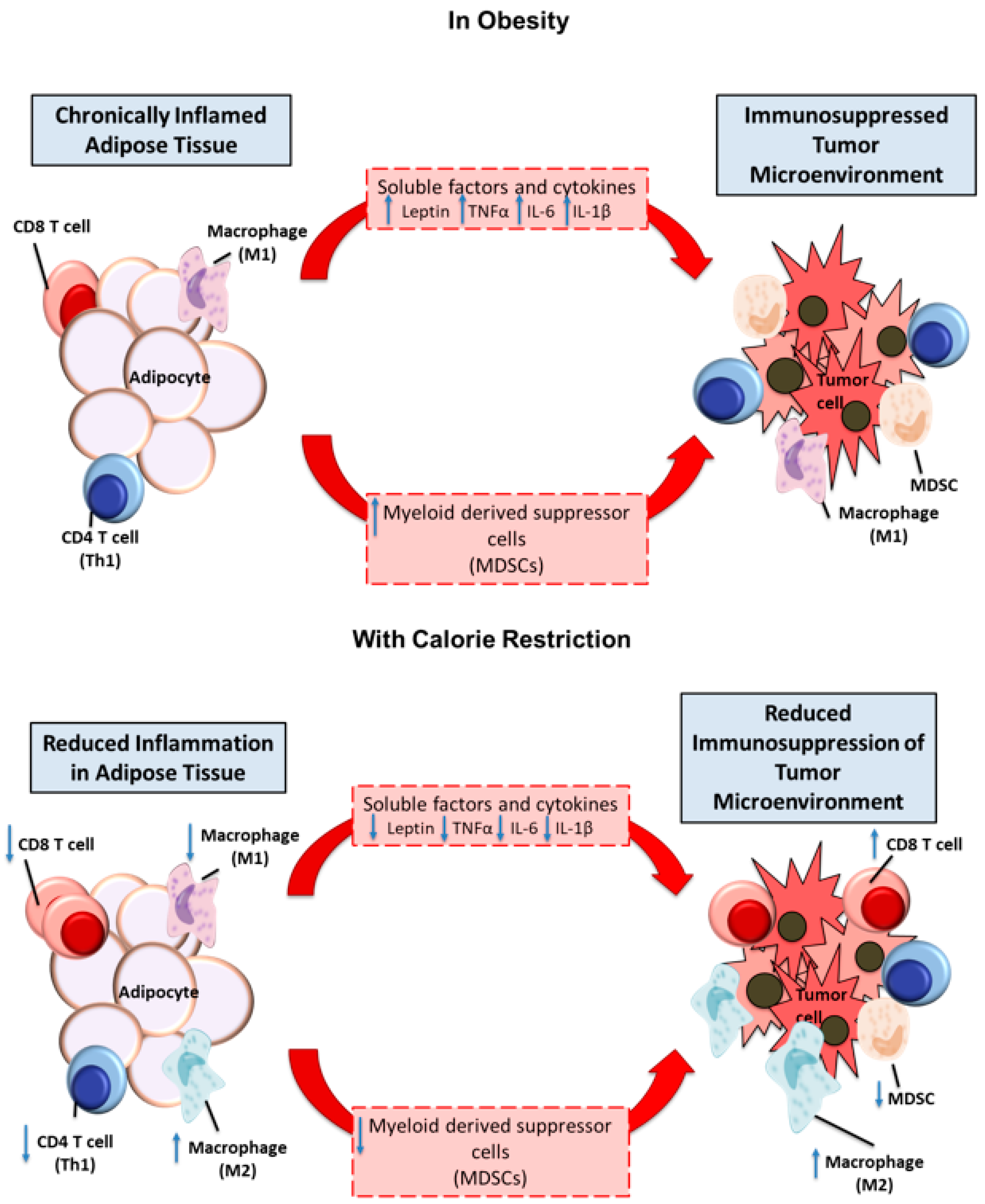 Cancers 12 02338 g002