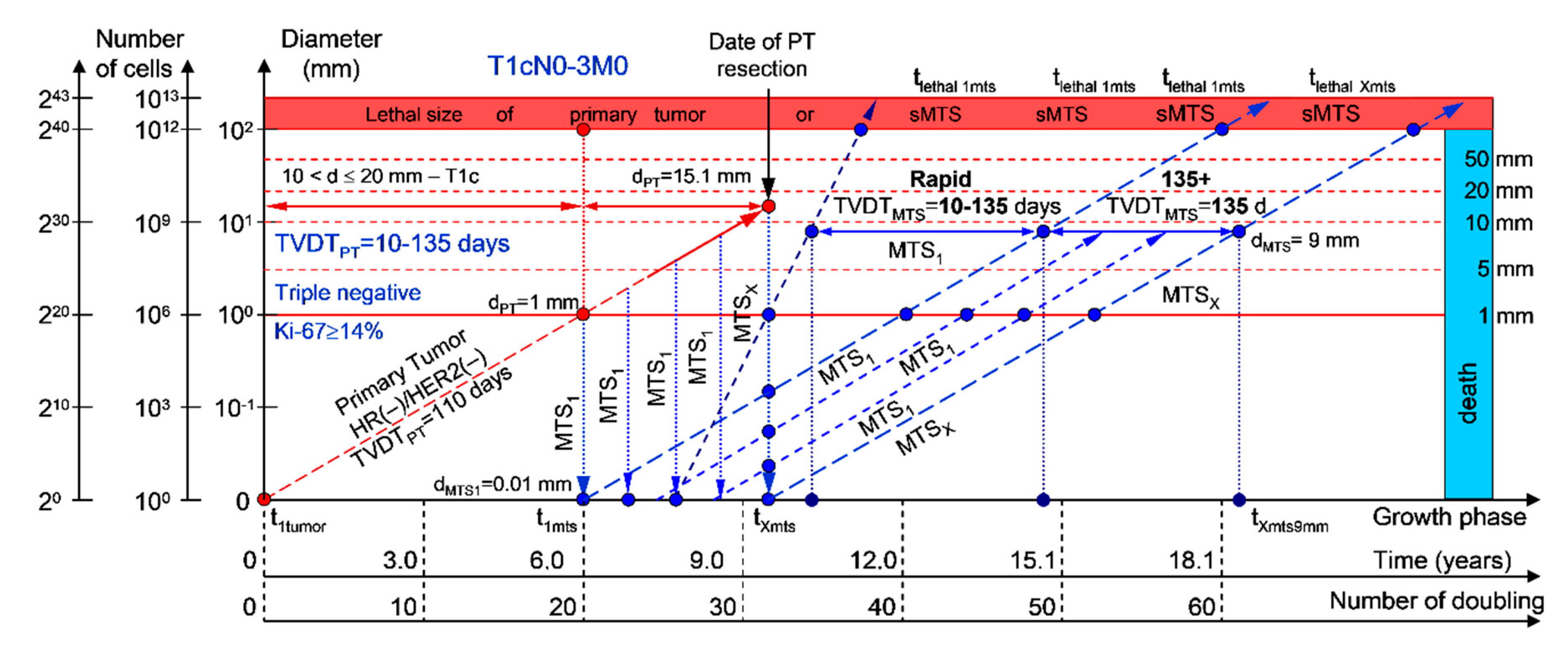 Cancers 12 02344 g002 Cancers 12 02344 g002