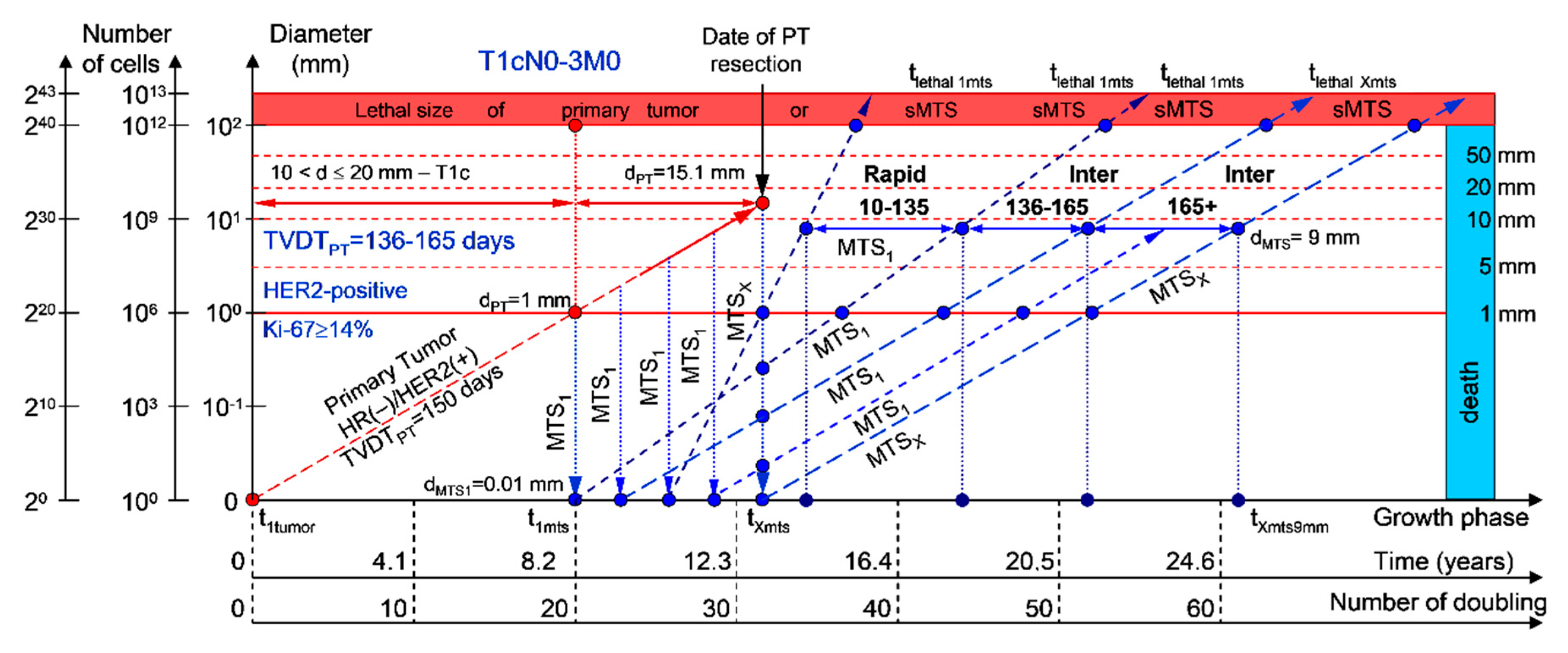 Cancers 12 02344 g003 Cancers 12 02344 g003