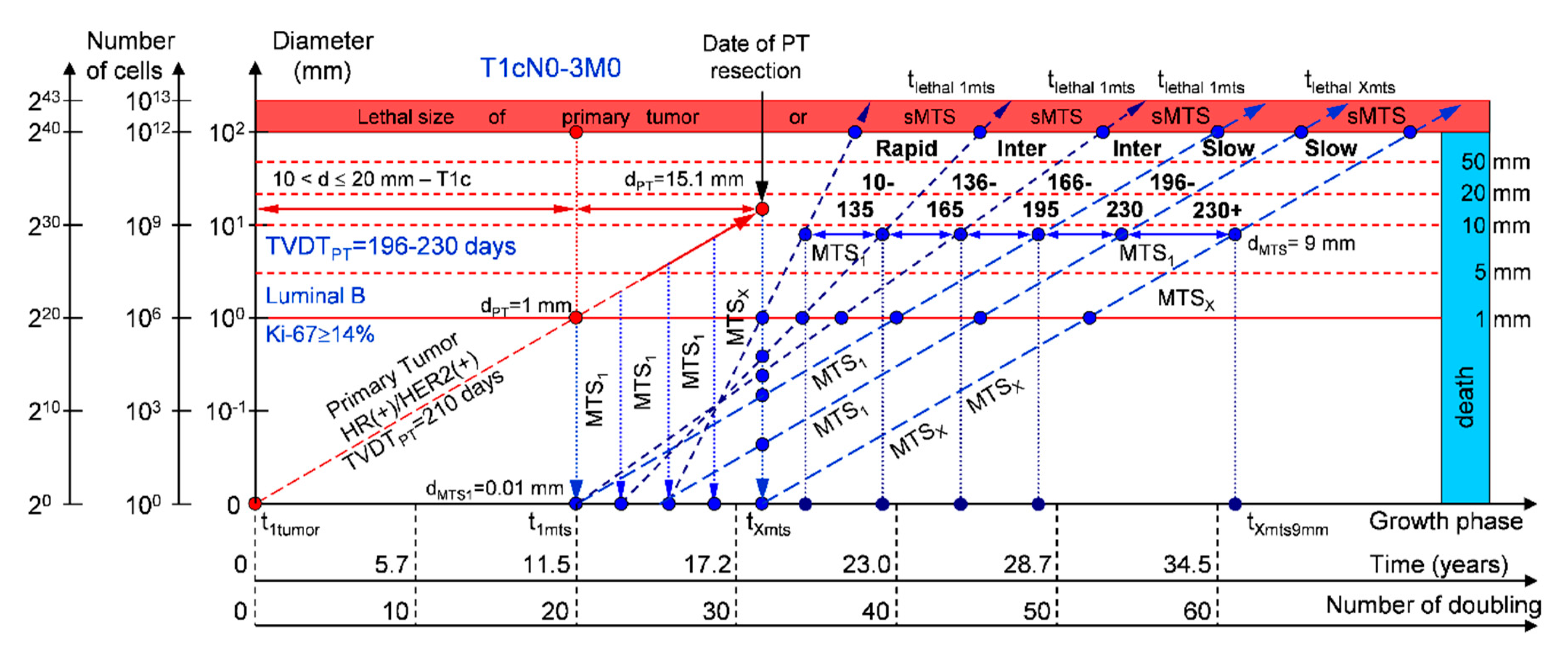 Cancers 12 02344 g005 Cancers 12 02344 g005