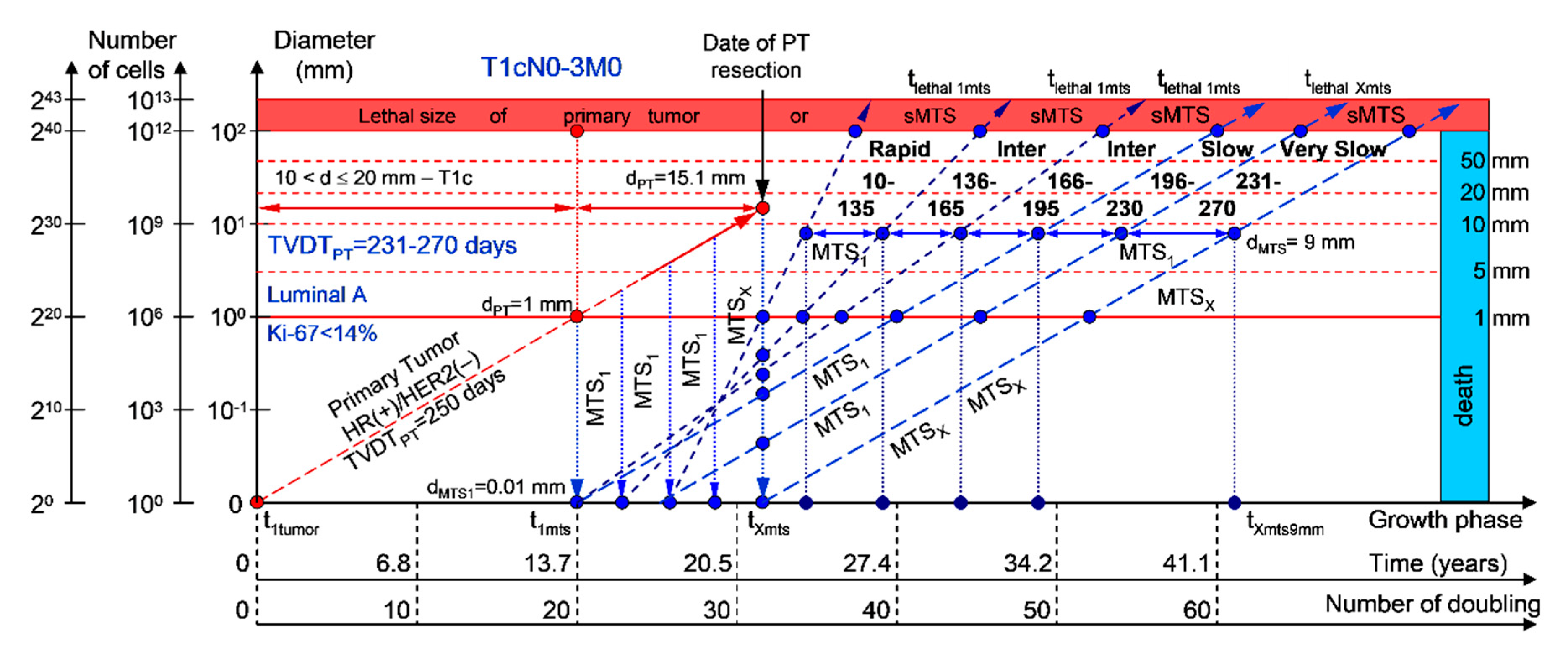 Cancers 12 02344 g006 Cancers 12 02344 g006