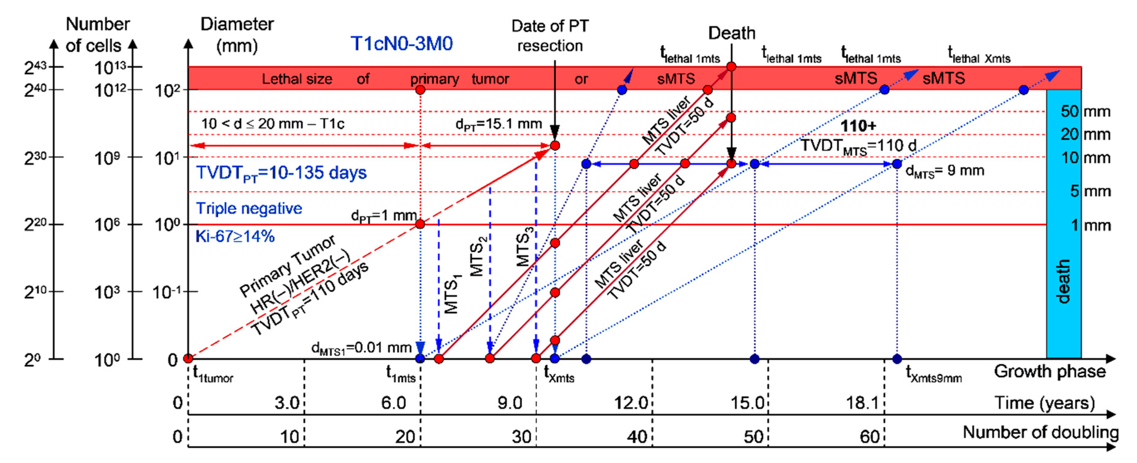 Cancers 12 02344 g008 Cancers 12 02344 g008