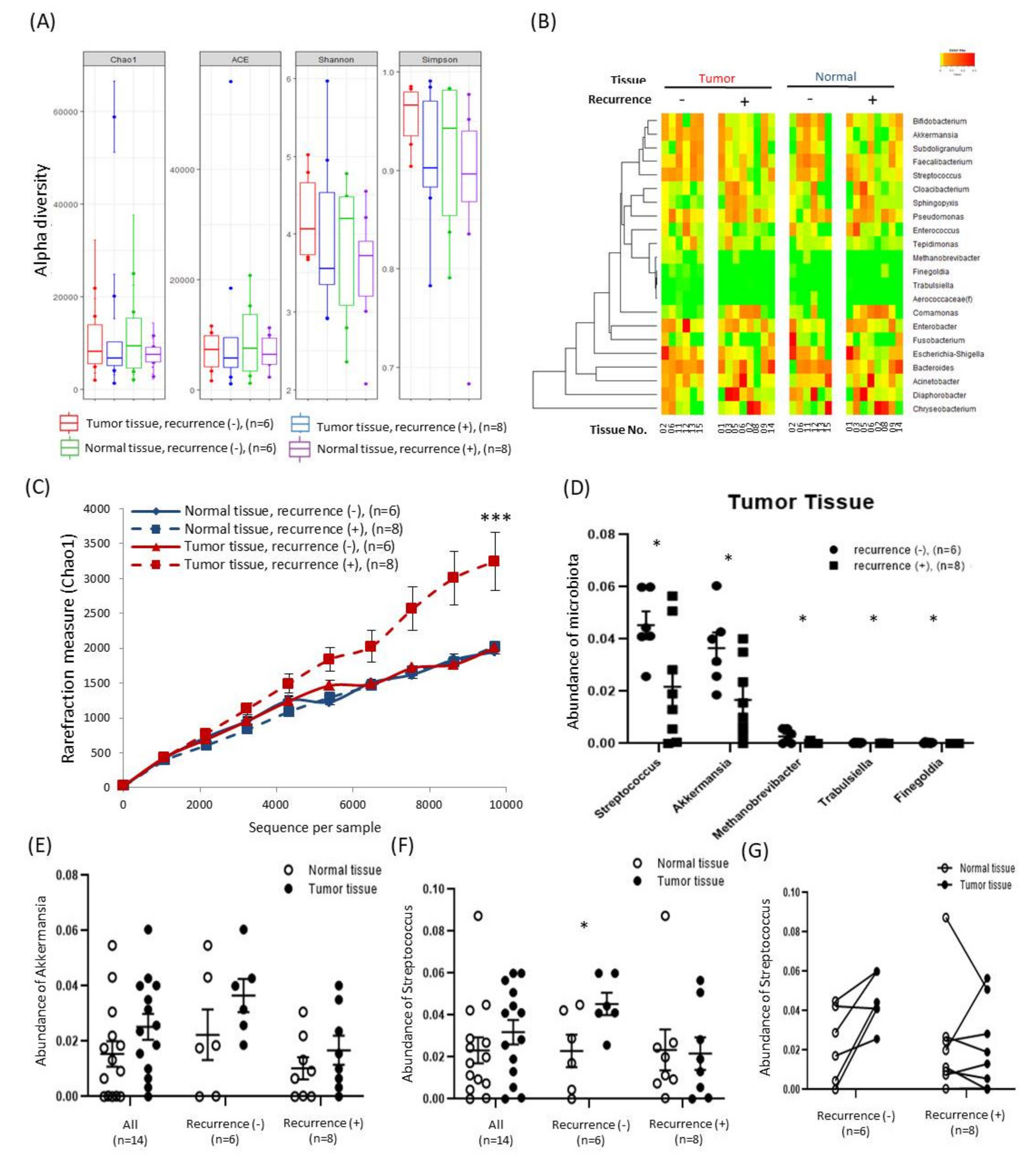 Cancers 12 02346 g003 Cancers 12 02346 g003