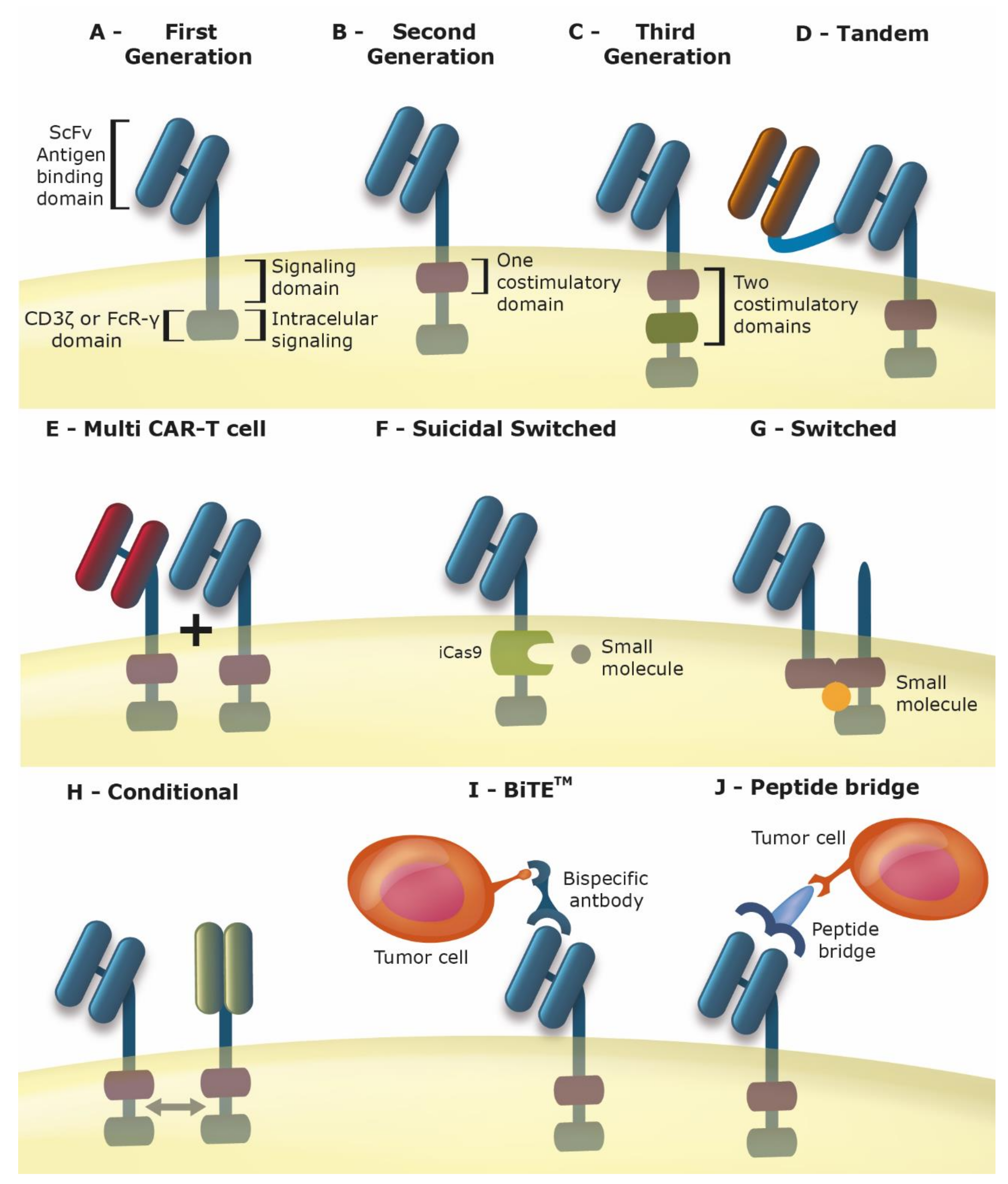 Cancers 12 02360 g001 Cancers 12 02360 g001