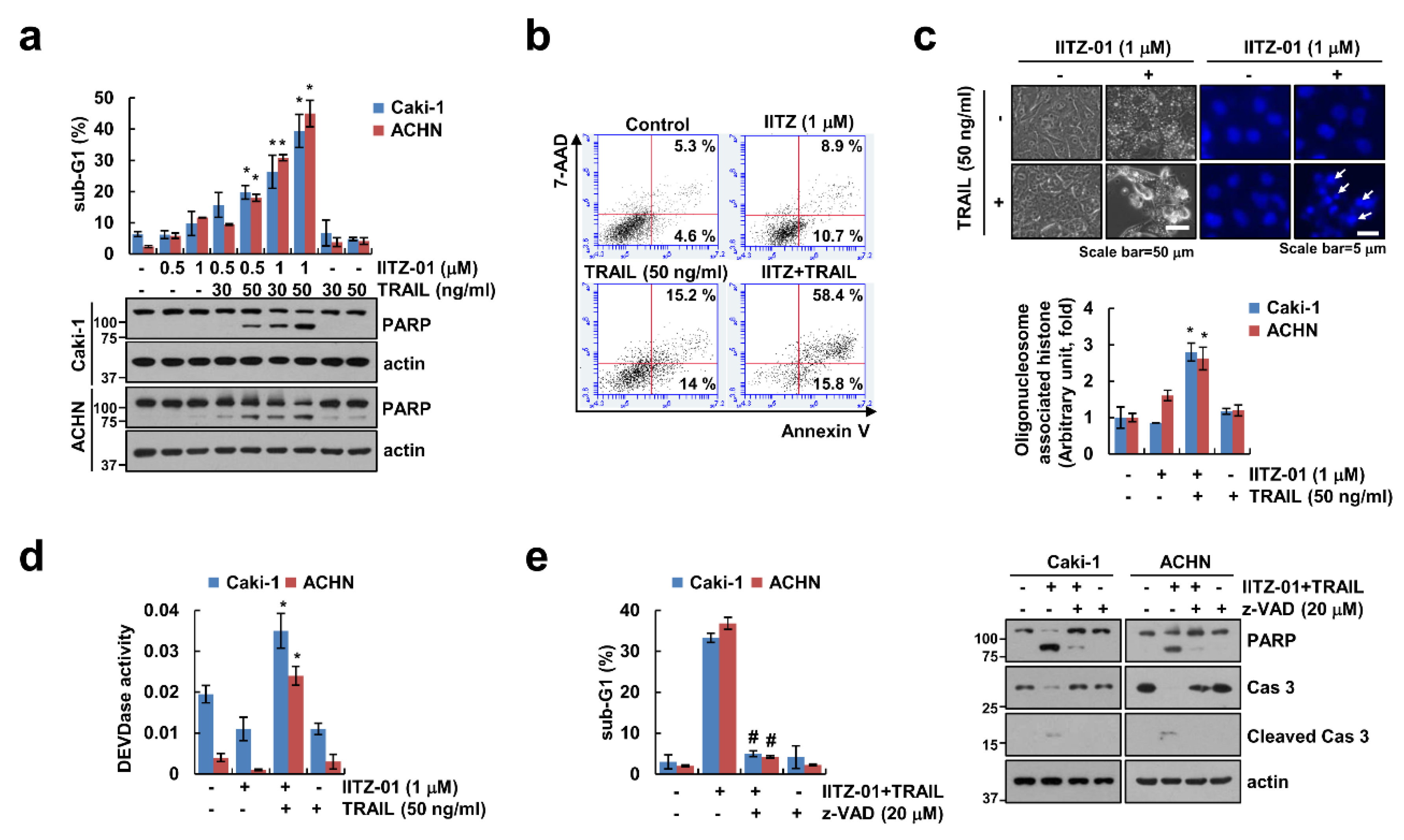 Cancers 12 02363 g001 Cancers 12 02363 g001